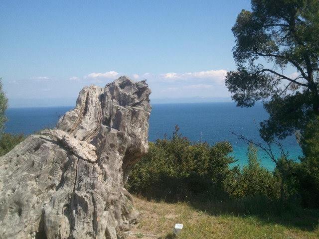 Photo 26