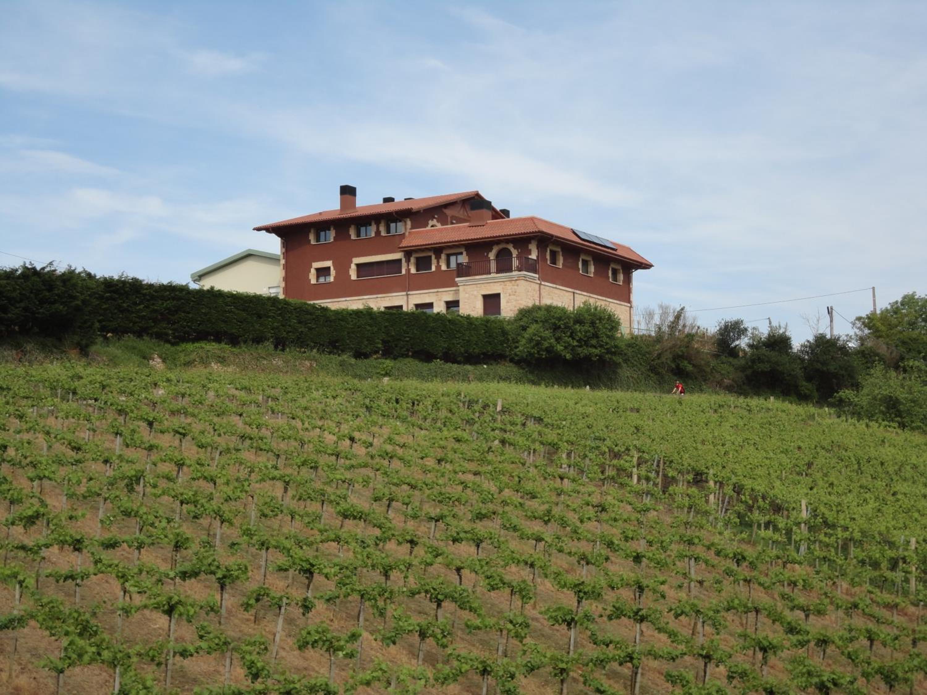 Hotel Rural Gaintza - Property Image 9