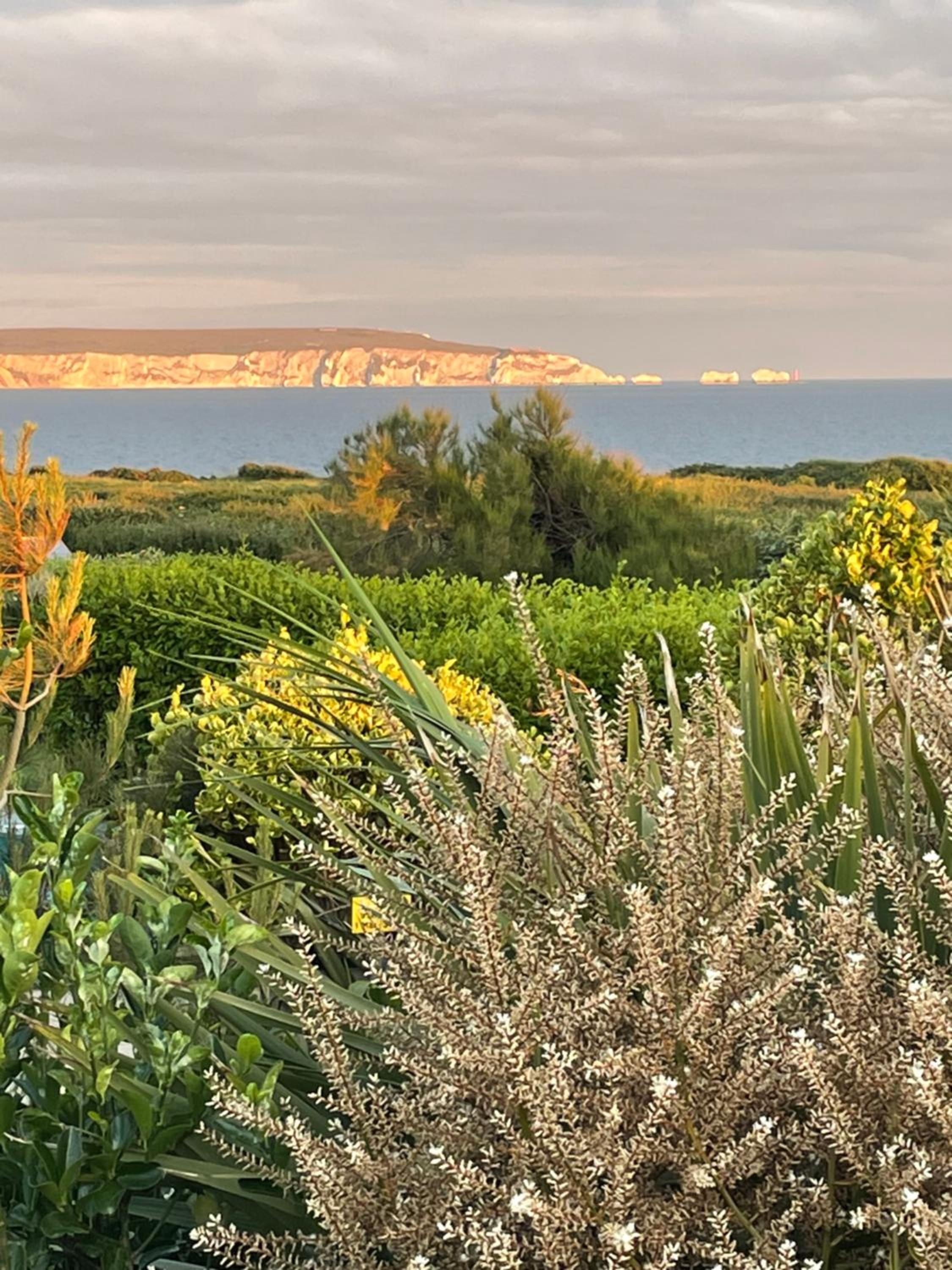 Cliff top Garden room view 4