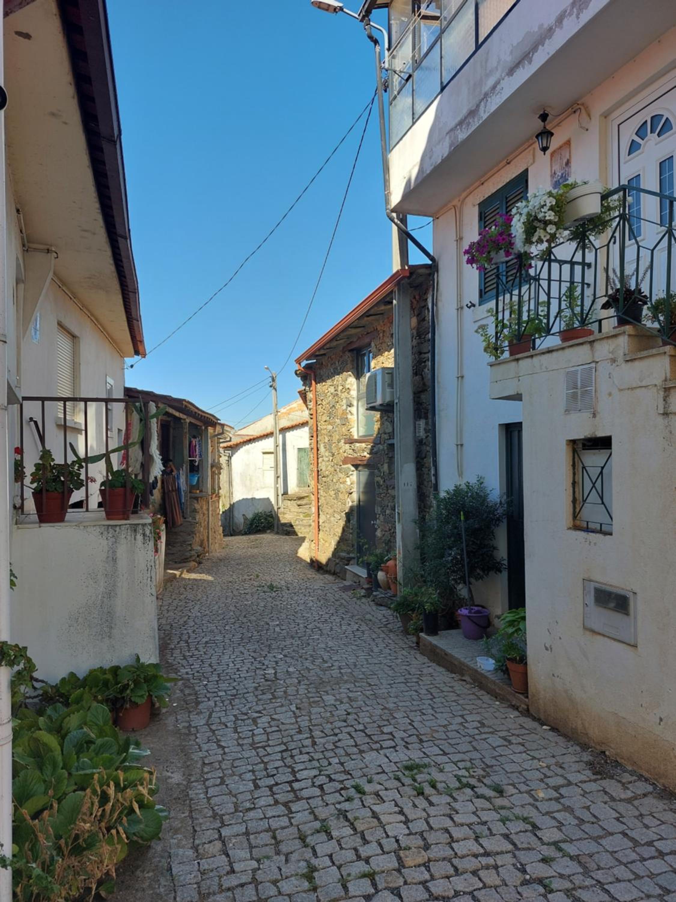O Palheirinho - Turismo Rural - Bragança view 4