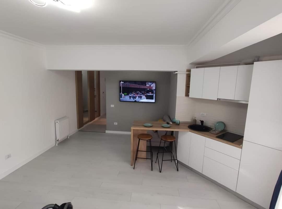 Lake Studio Mamaia Butoaie view 3