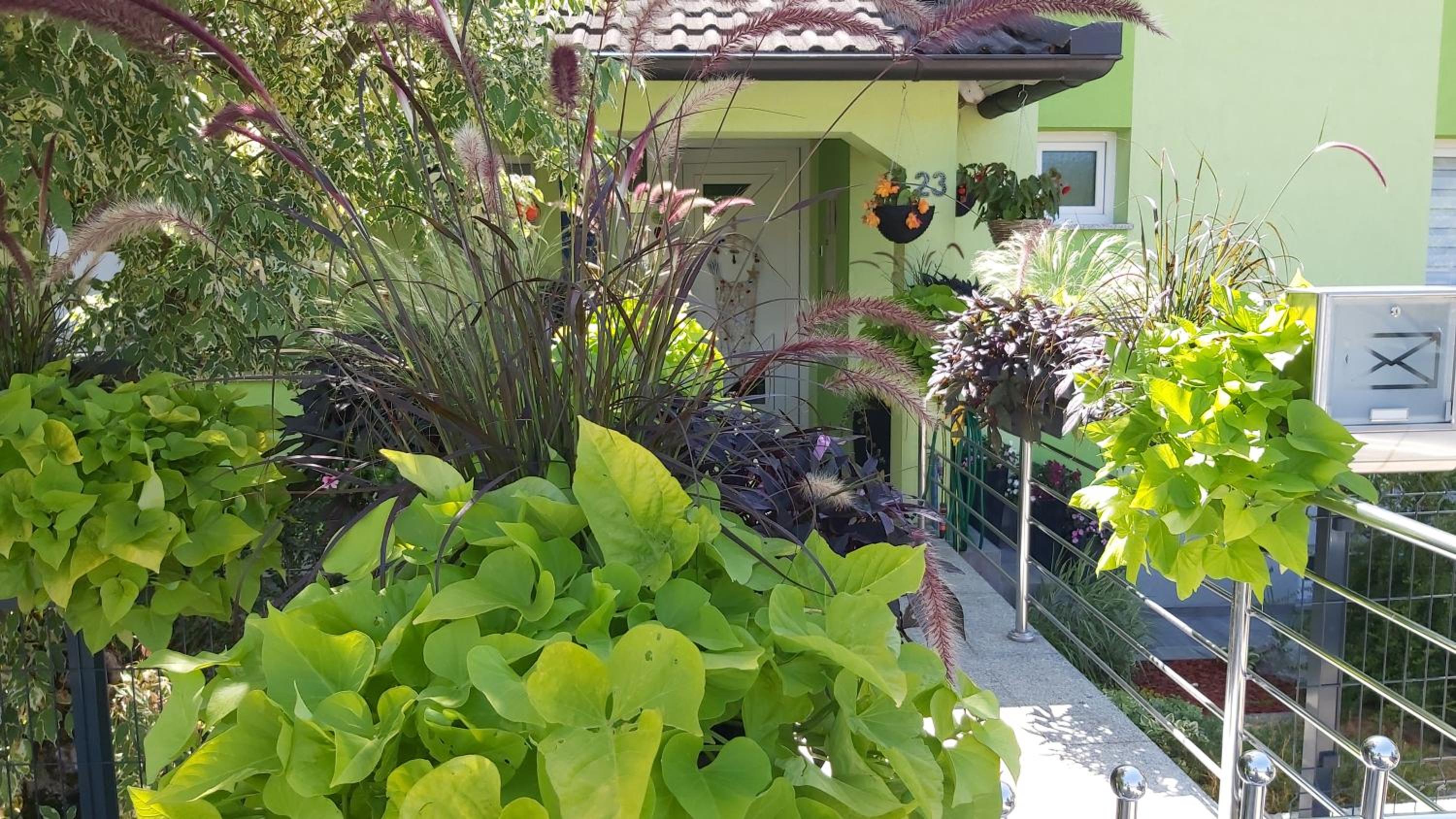 Apartman GRIZZLY view 4