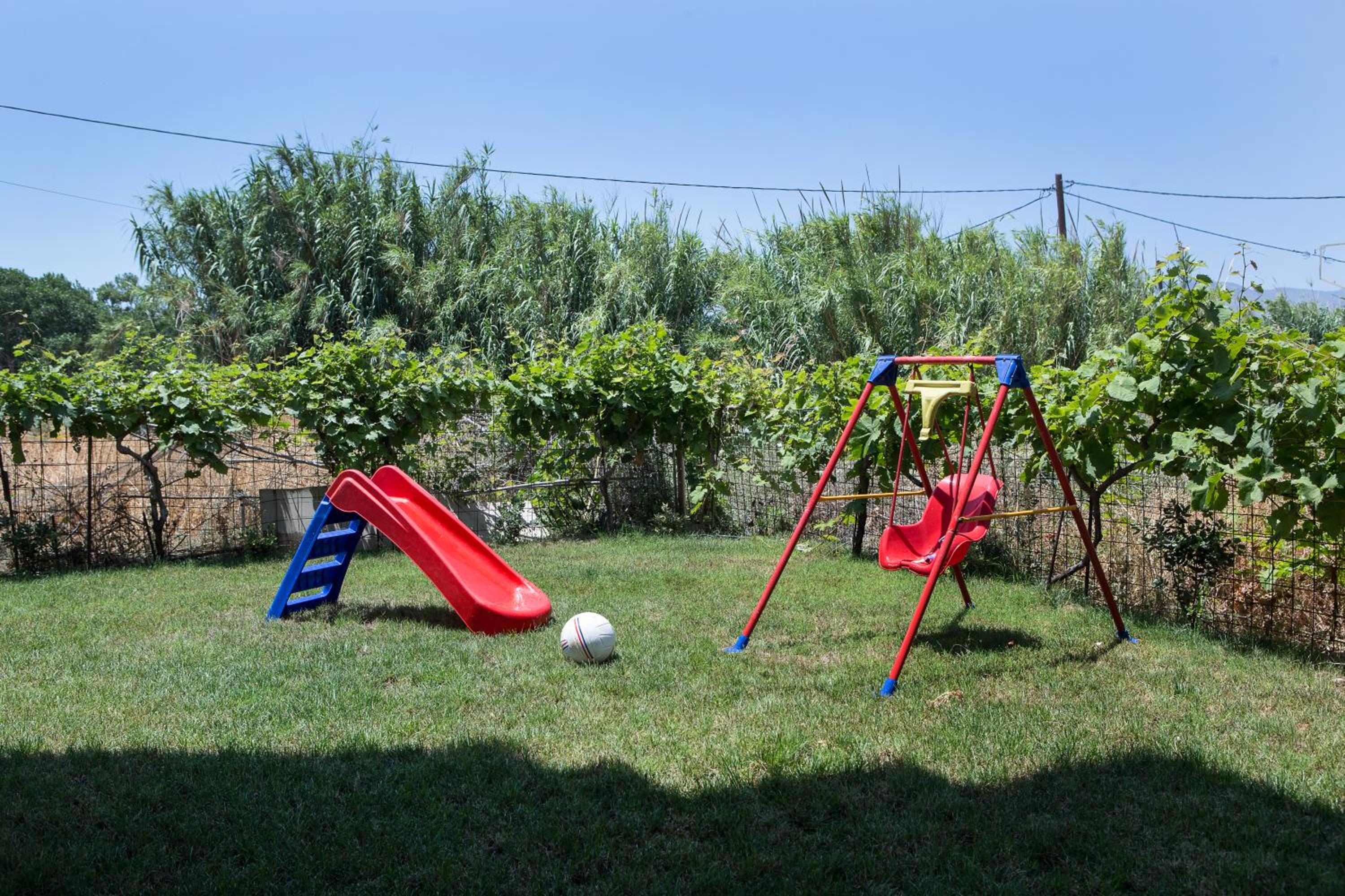 Photo 20