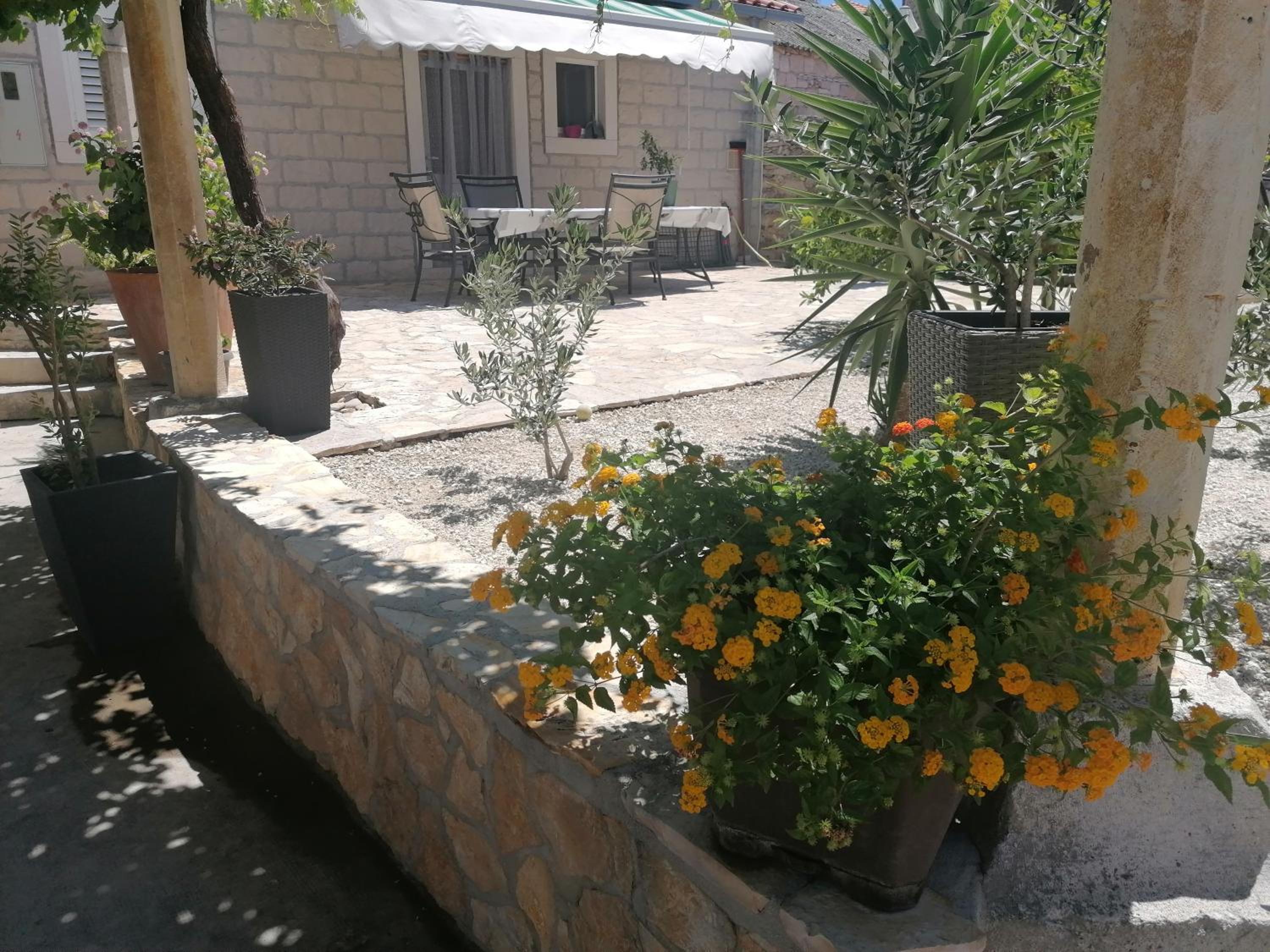 Photo 37