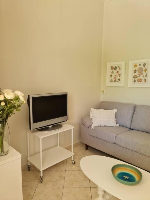 Paralia Nest photo 4