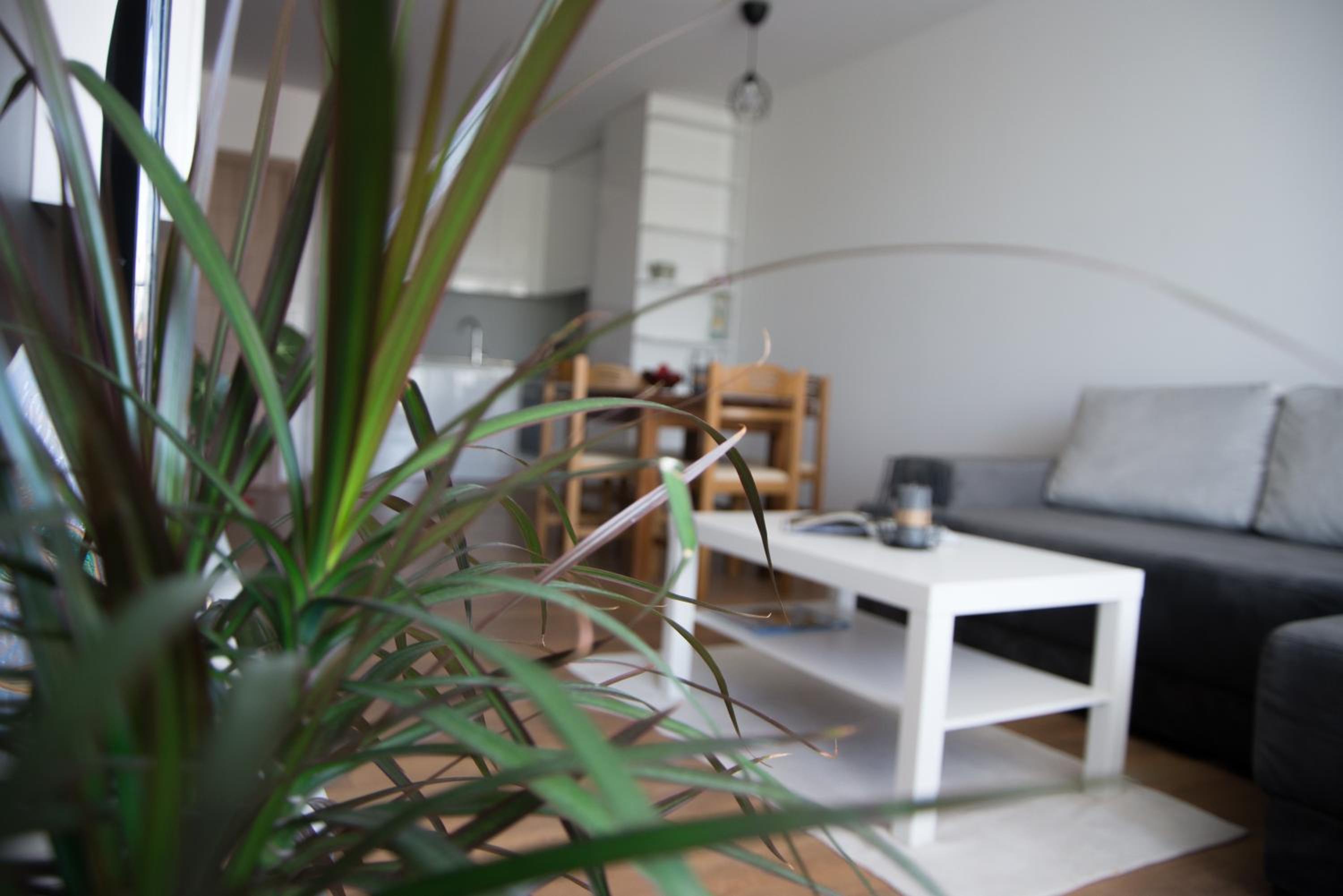 Intense Apartment