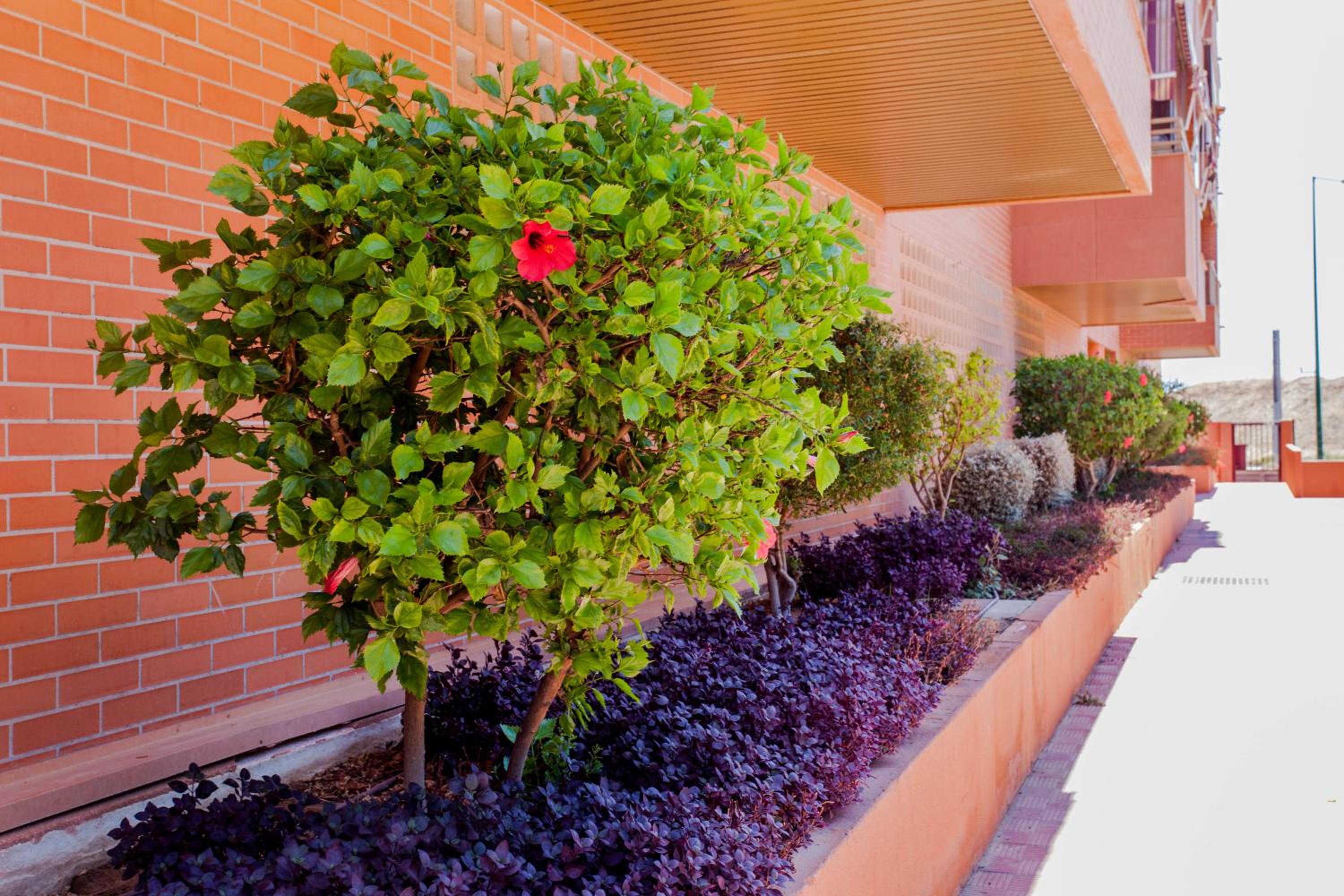 Apartamento Teatinos, Metro, Free Parking & Pool
