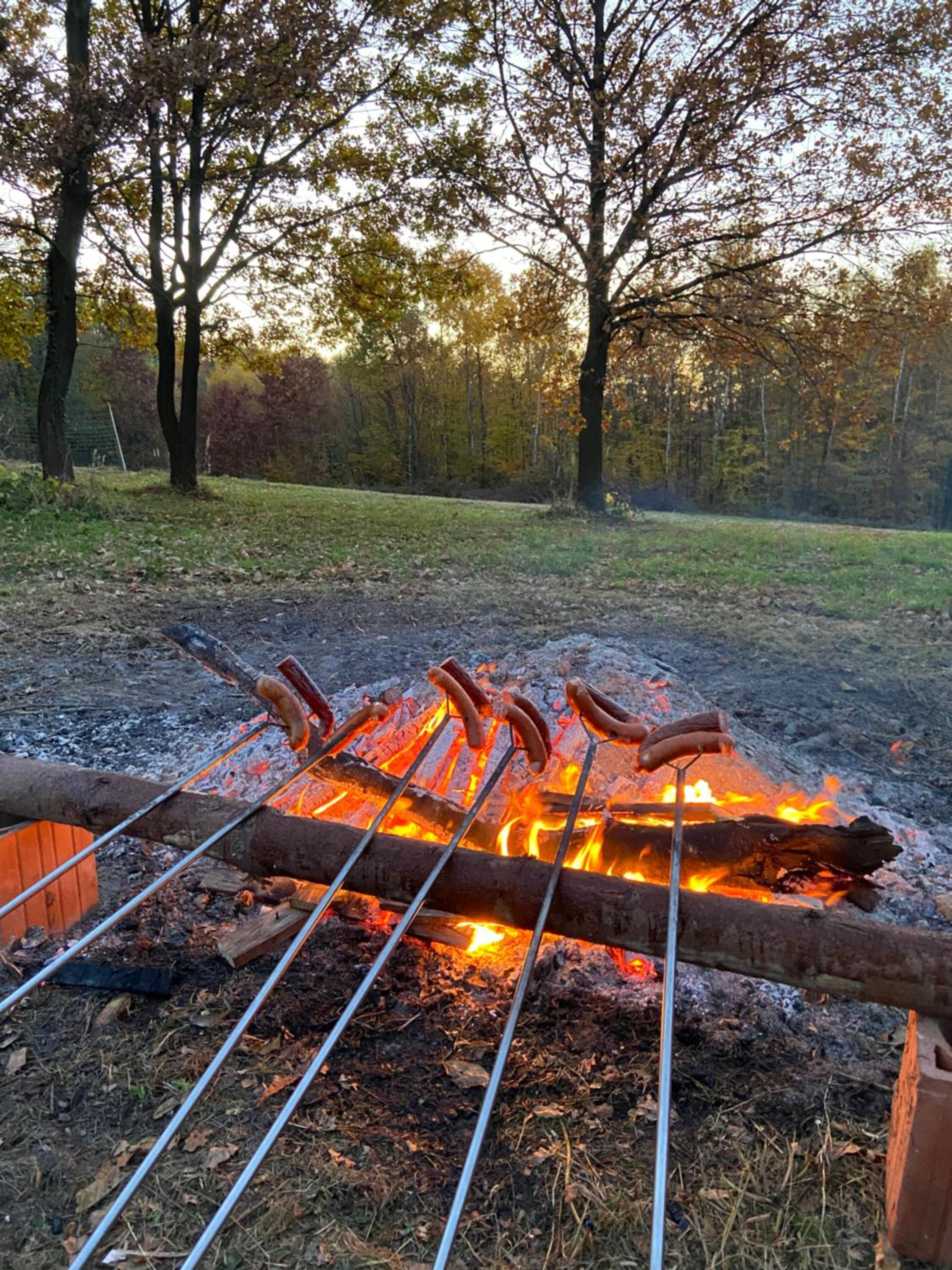 Szmaragdowy domek