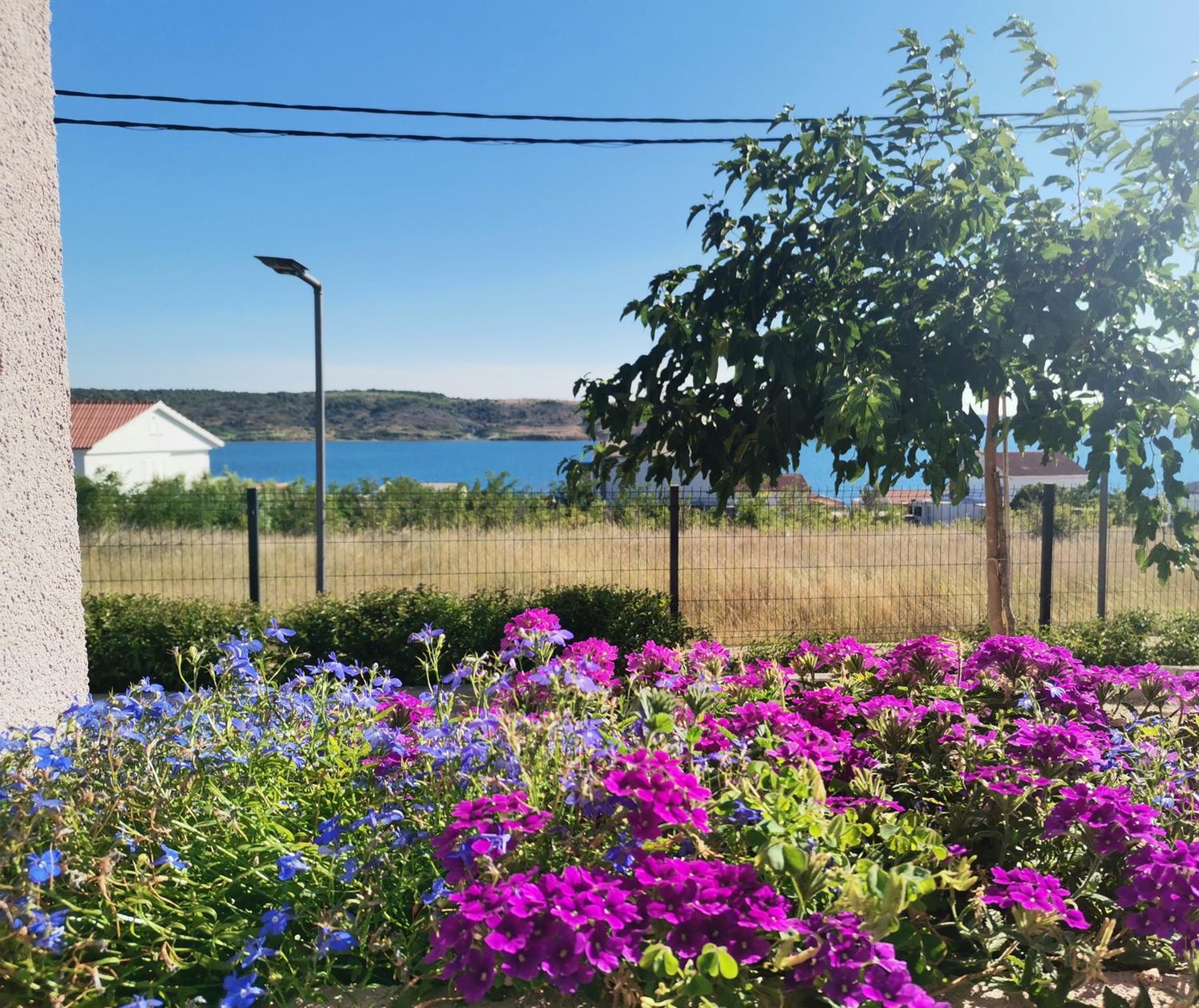 Apartmani Darko view 5