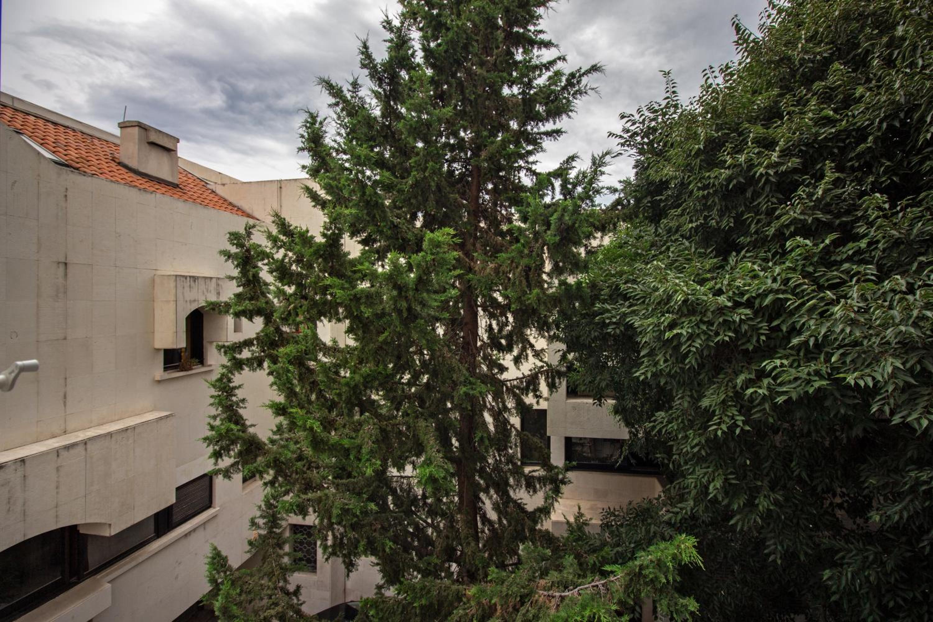 Photo 28