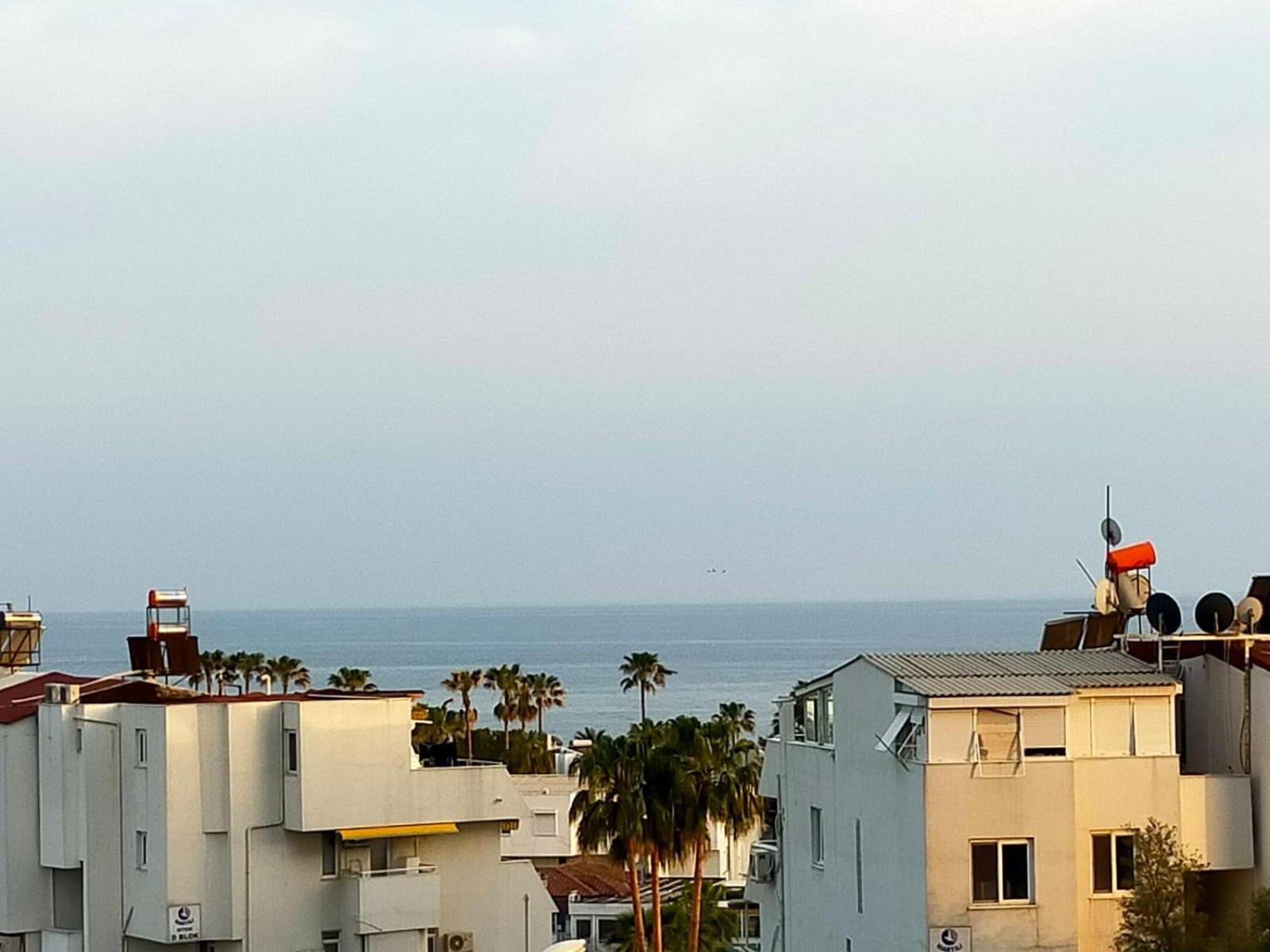 rooftop