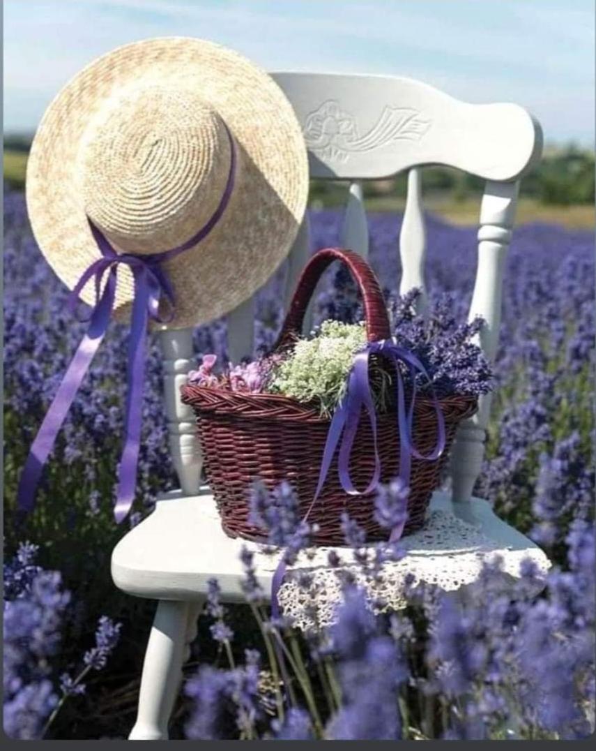 Grange Voutée avec jardin view 4
