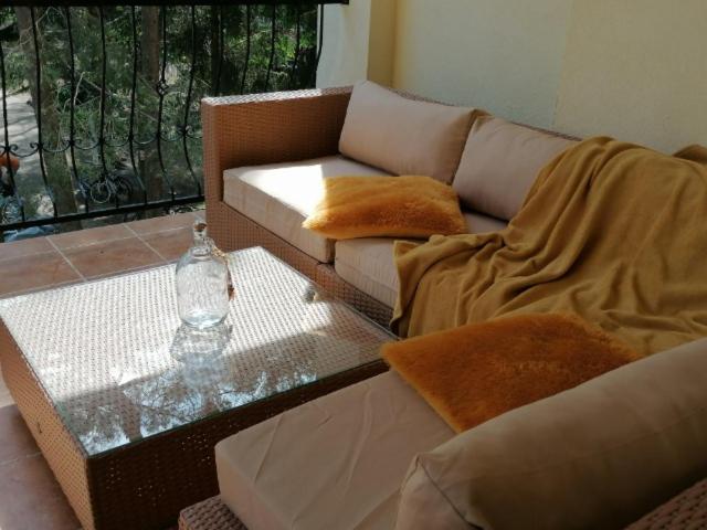 Blue Mare BB