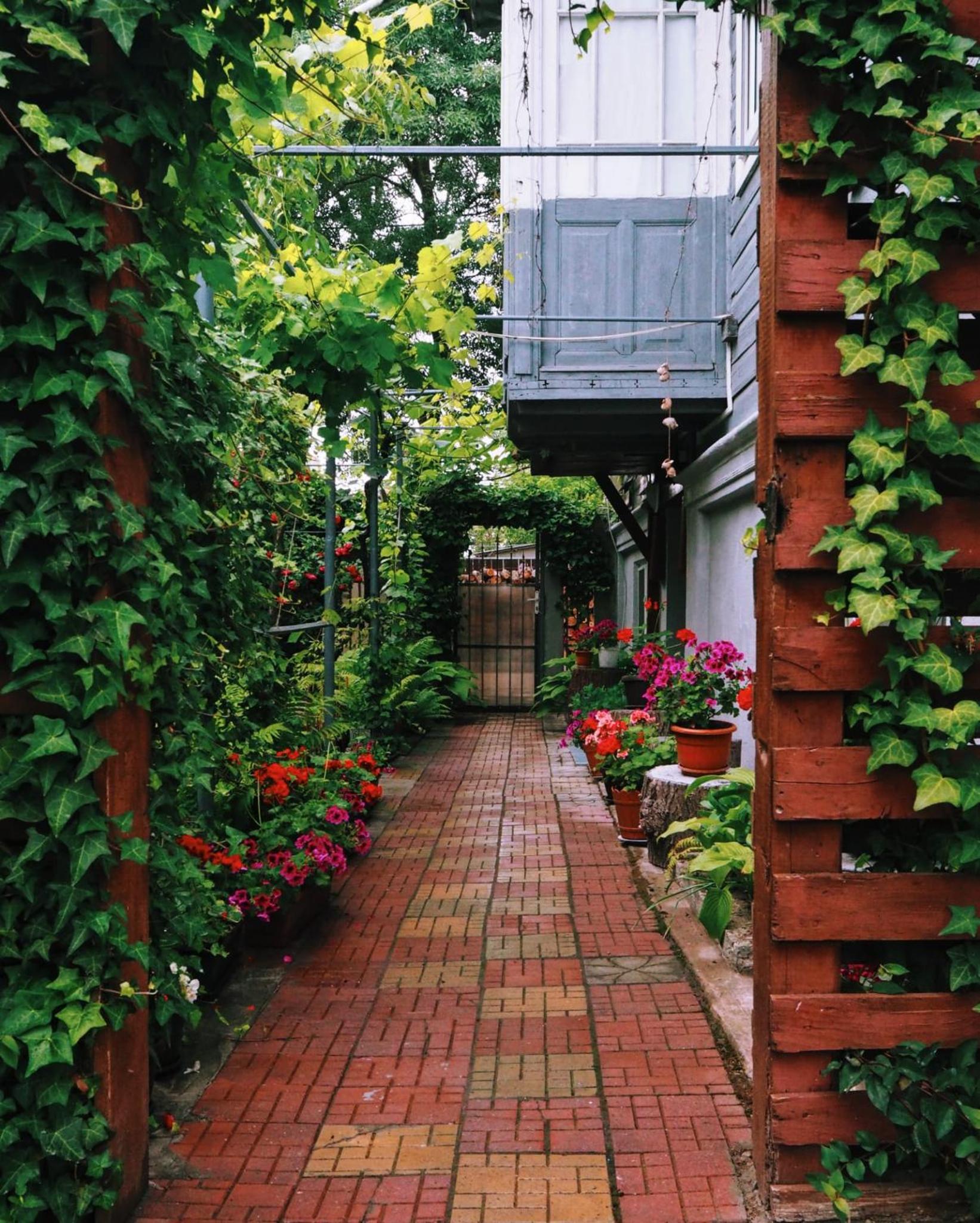 Photo 43