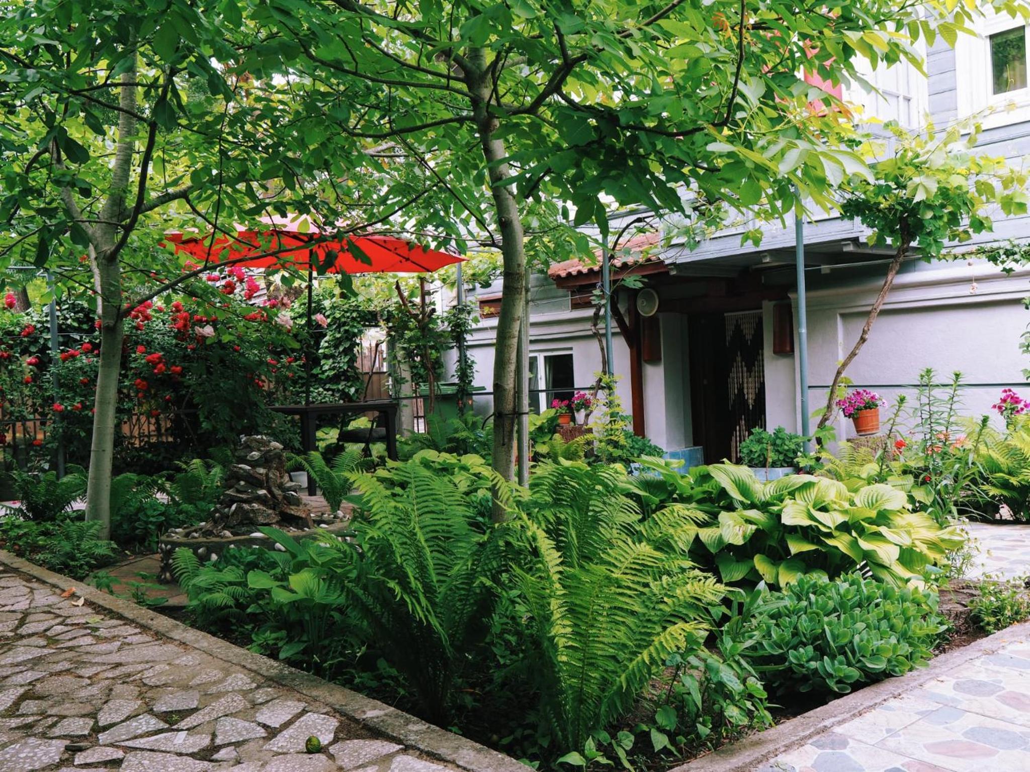 Photo 40