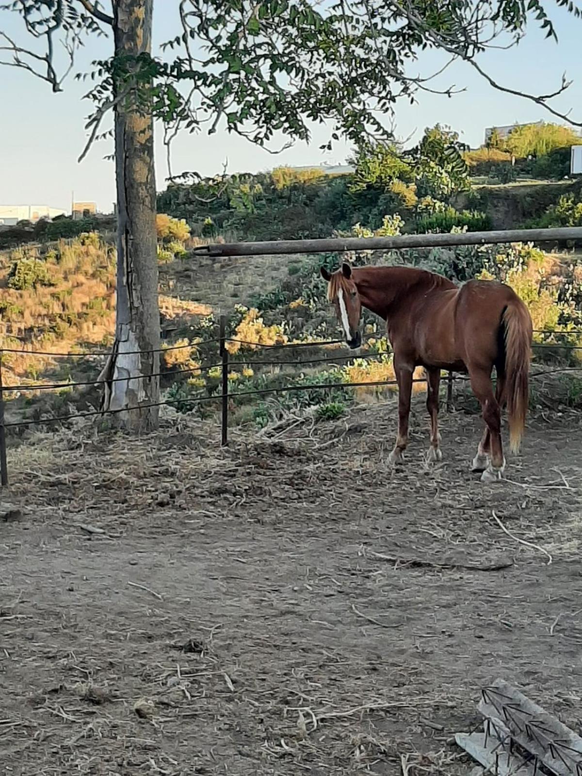 agriturismo u zu peppino
