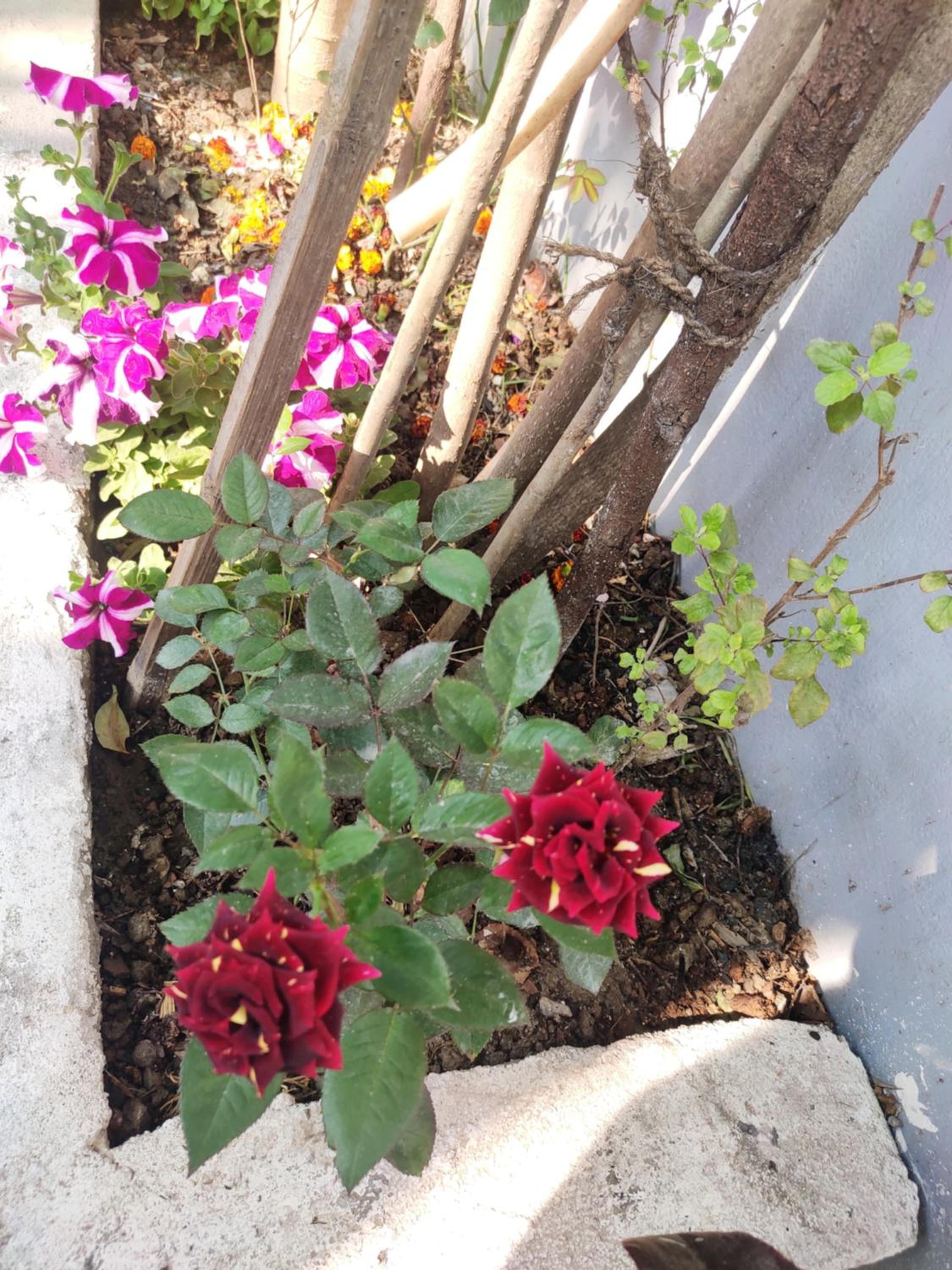 Photo 12