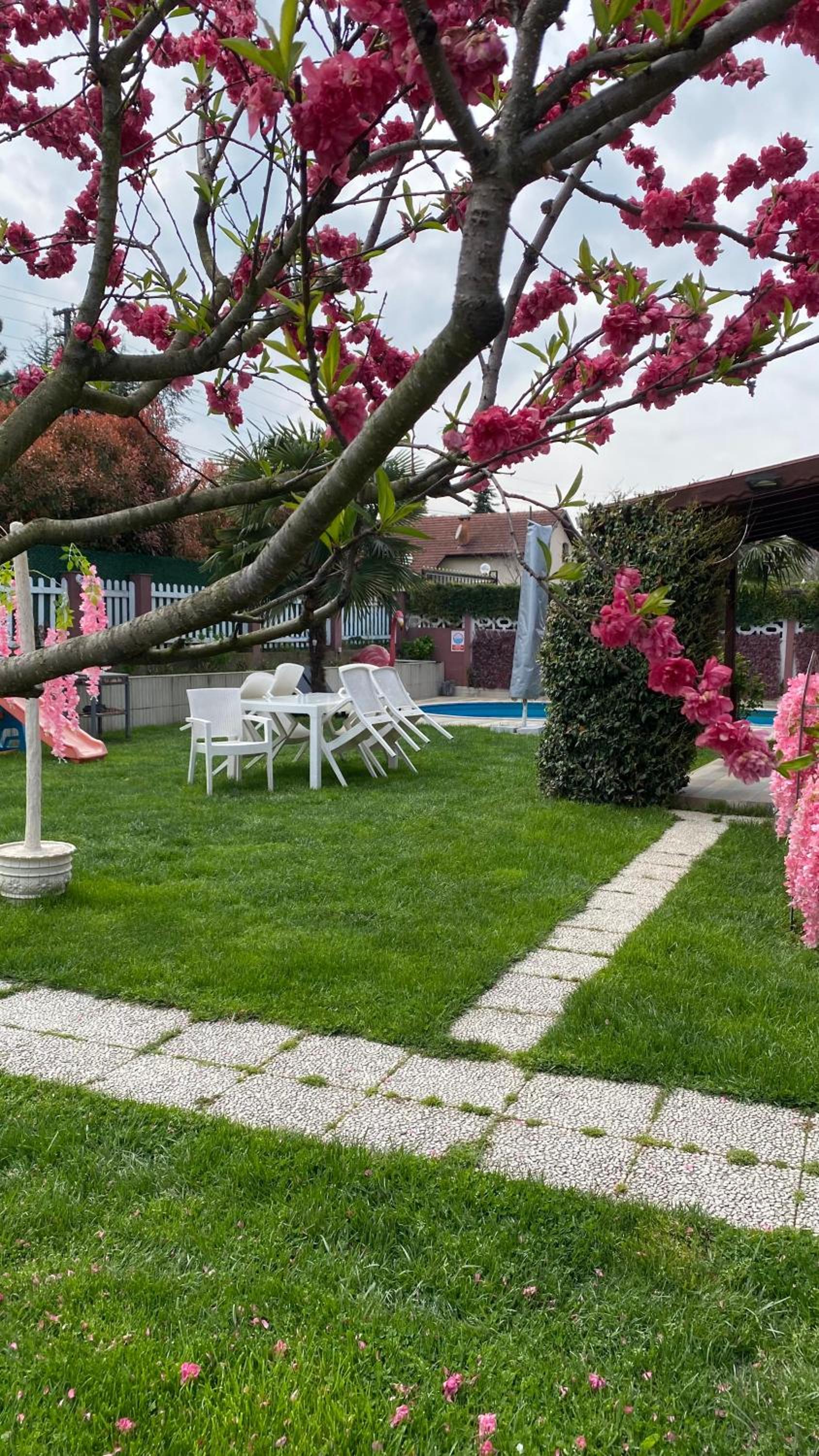 Villa Bade sıcak havuzlu view 5