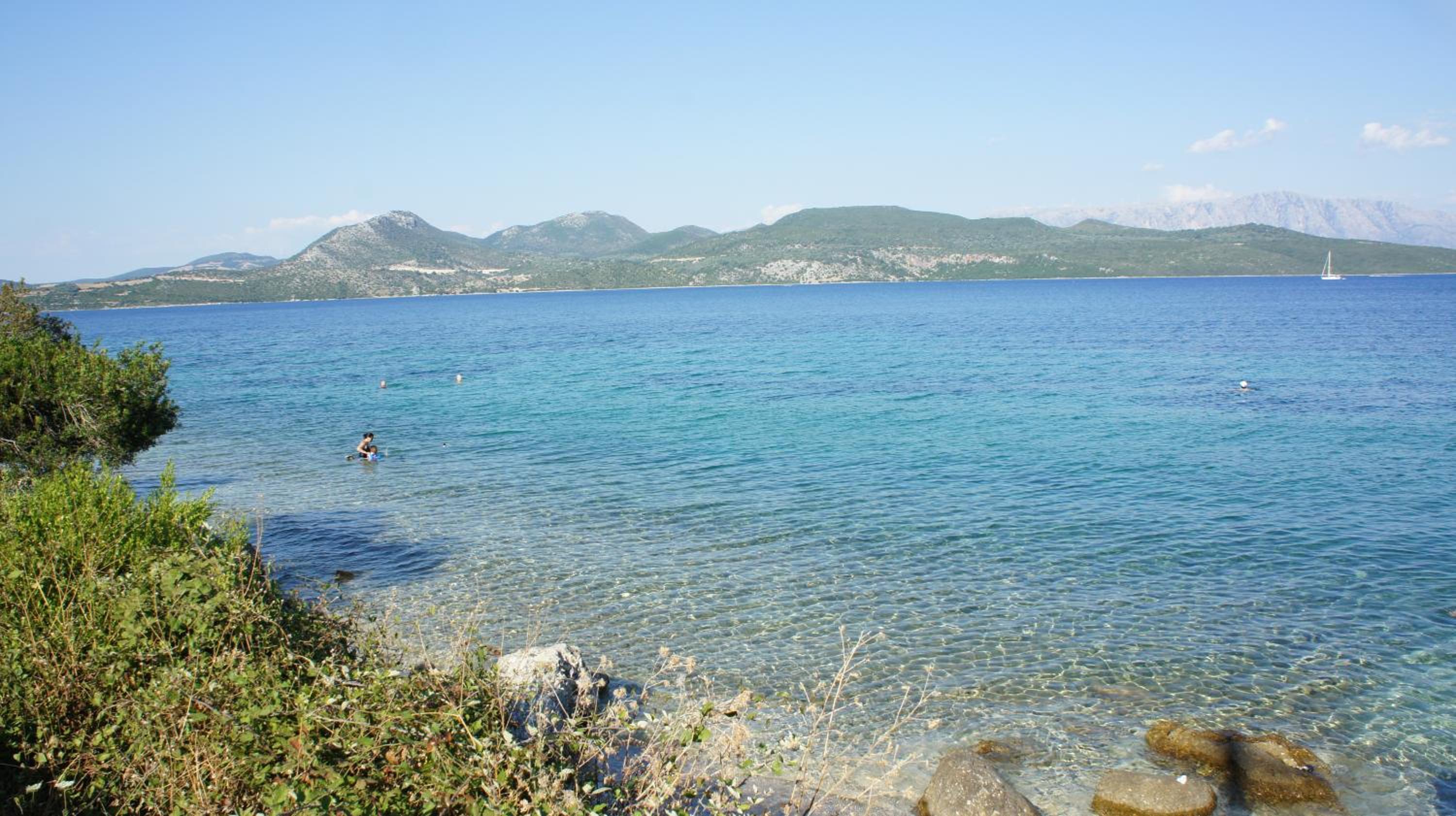 Photo 48