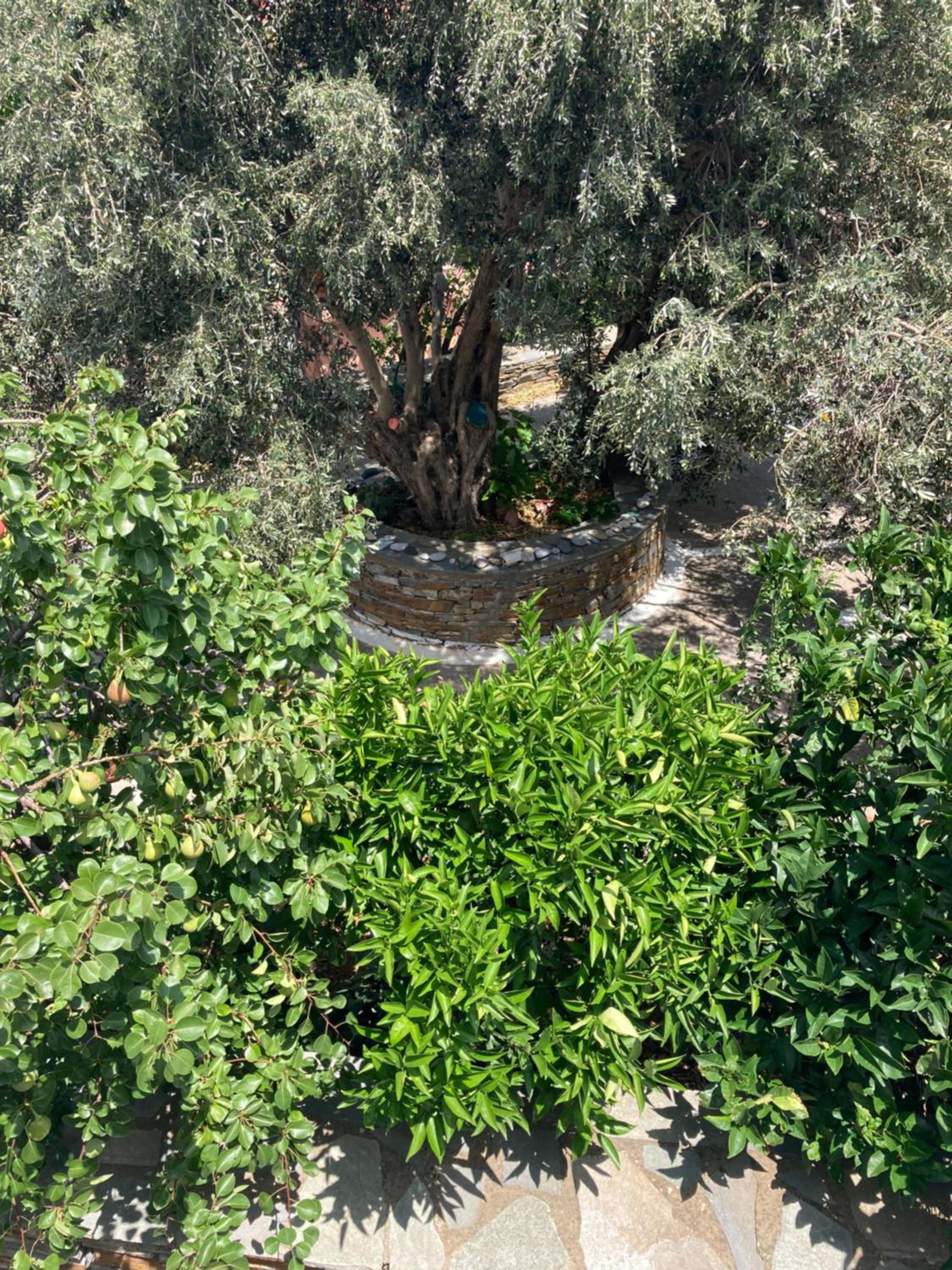 Photo 30