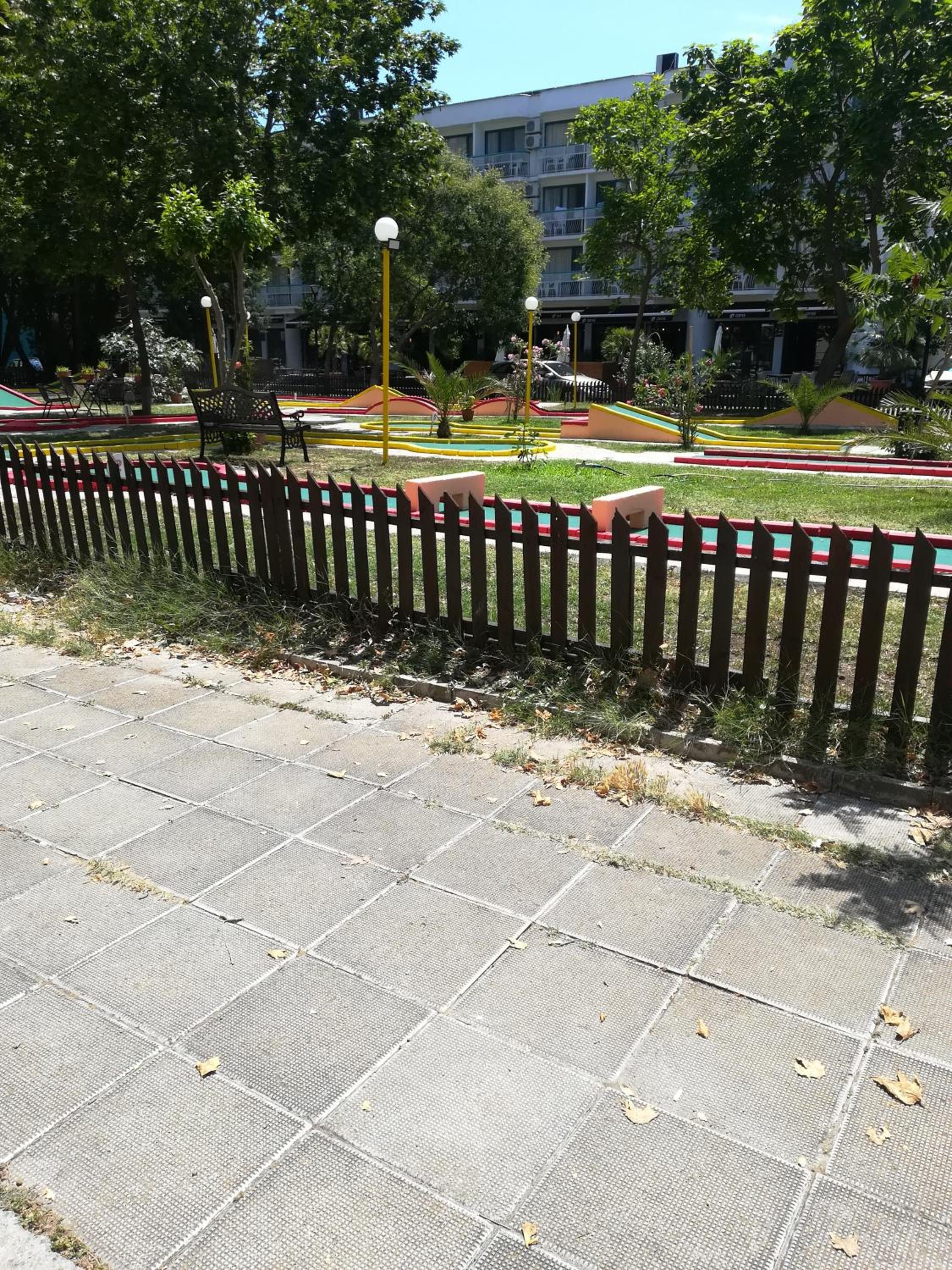 Photo 11