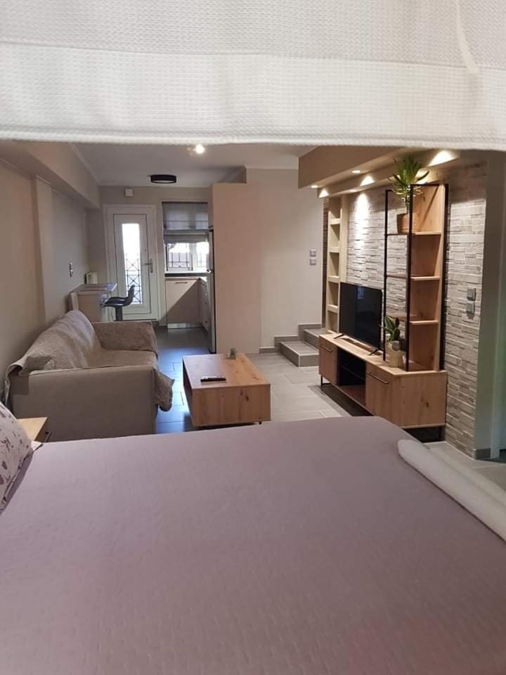 Lefkaditika Luxury Apartment photo 3
