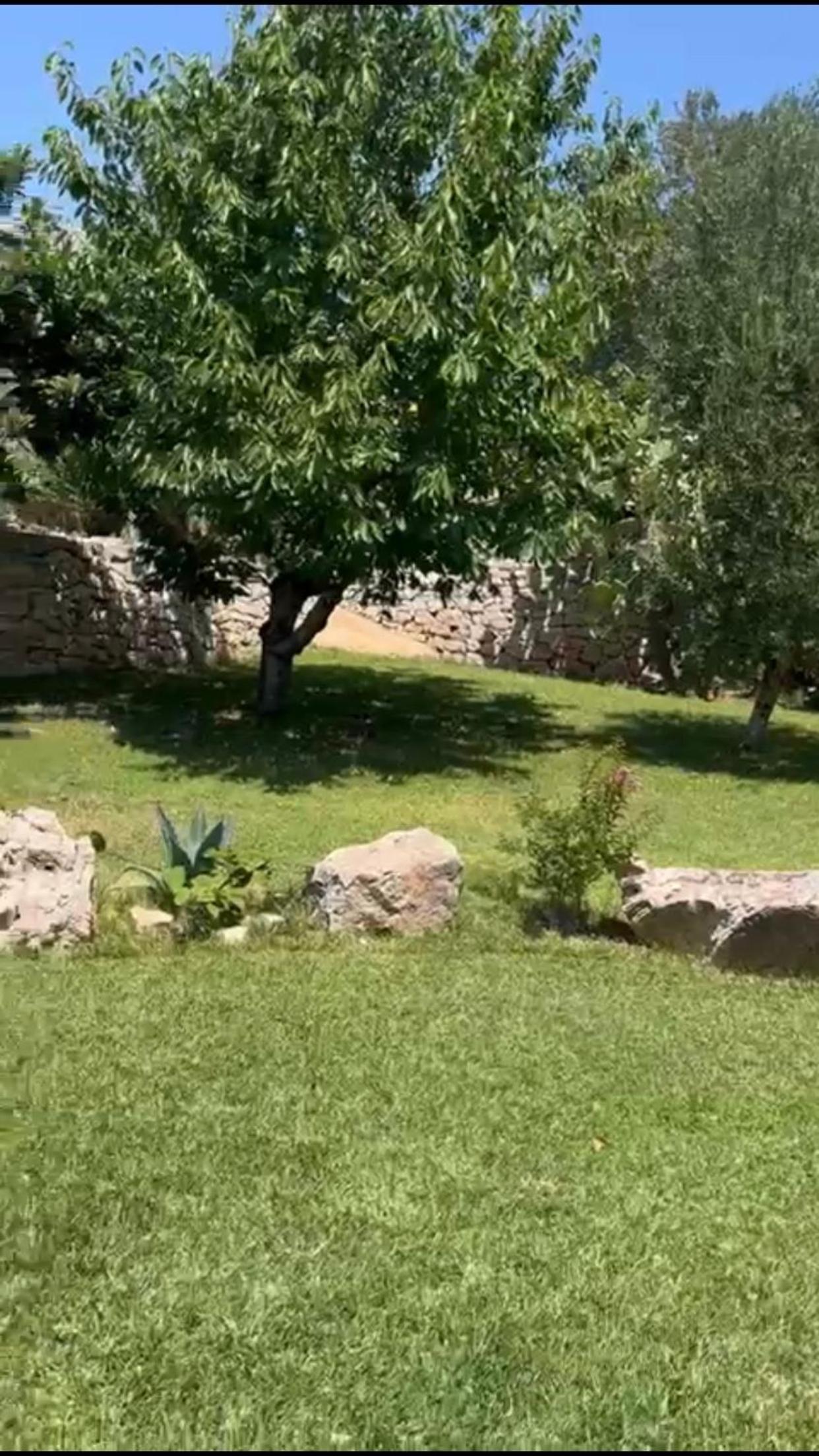 TRULLI TESORO
