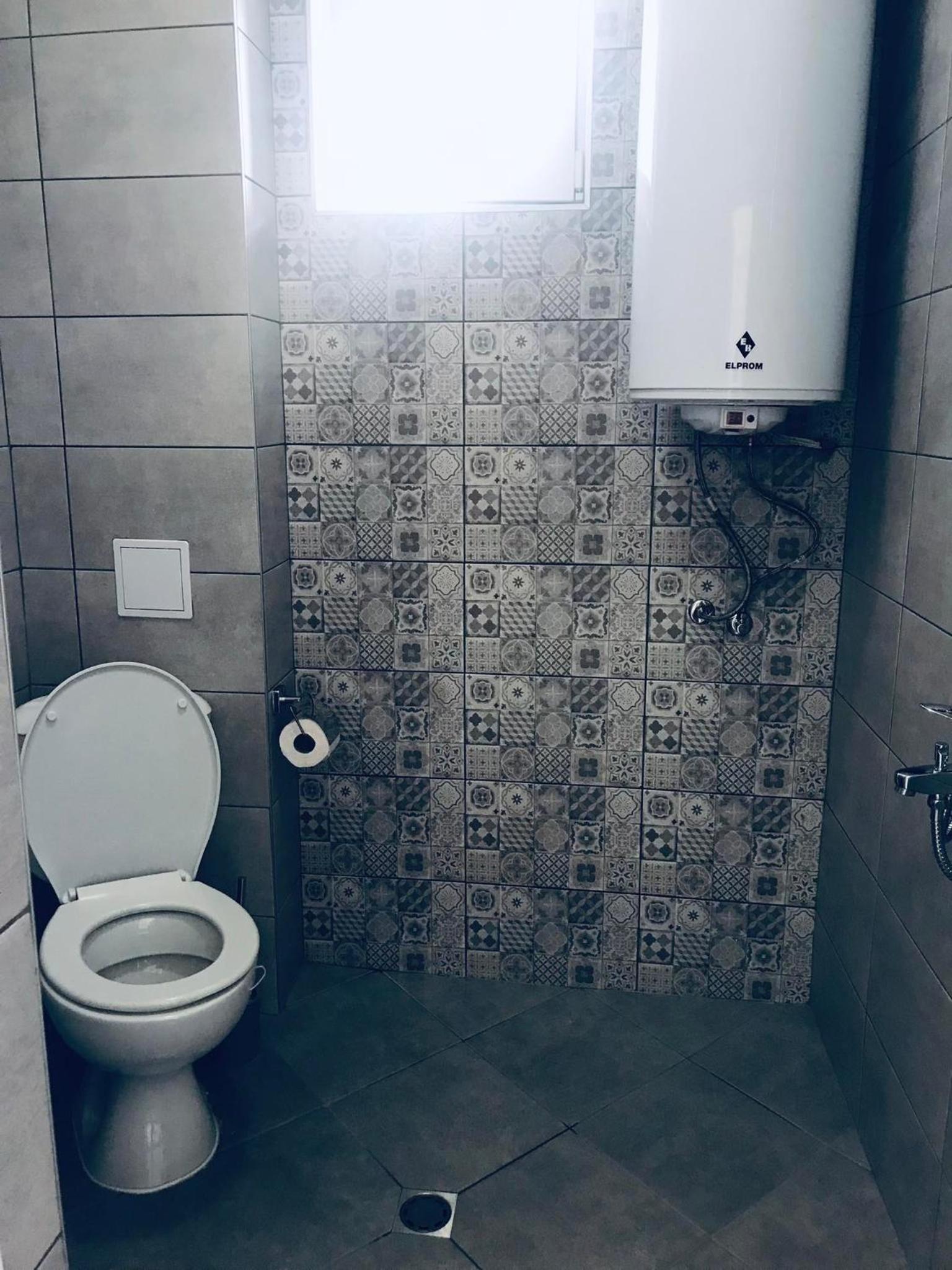 Boris — photo 11