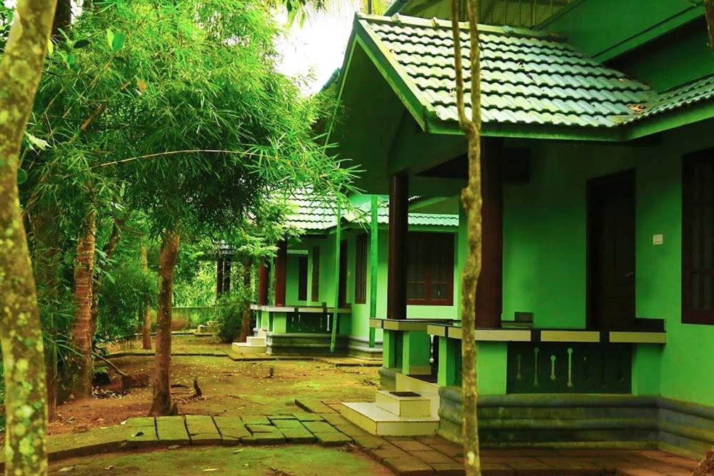 Photo 9