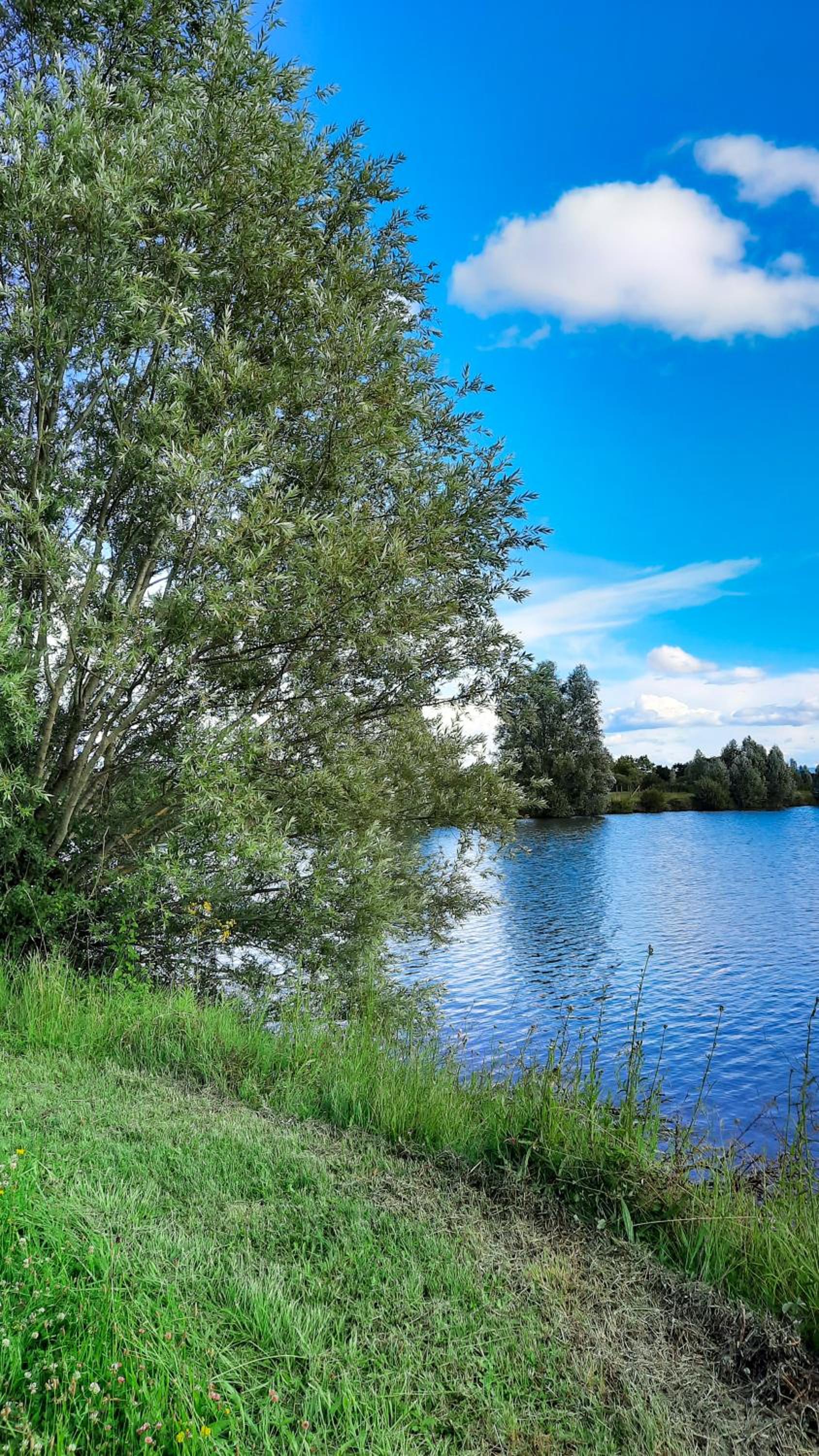 LE COTTAGE DU PARC