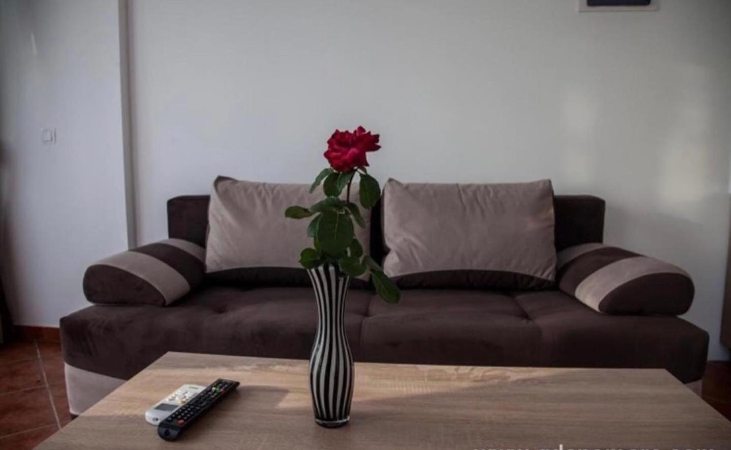 DeLux Apartmani view 5