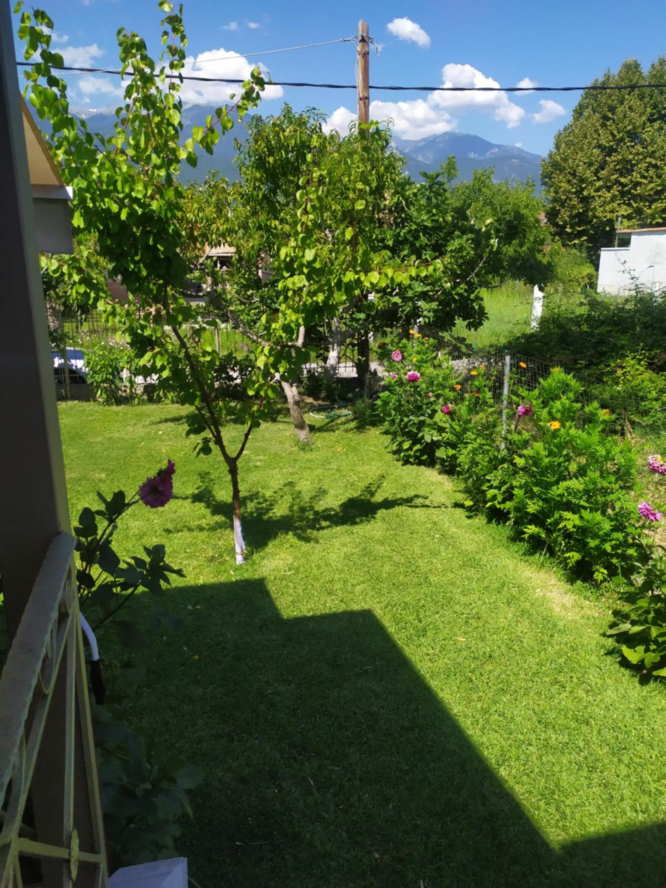 Photo 49