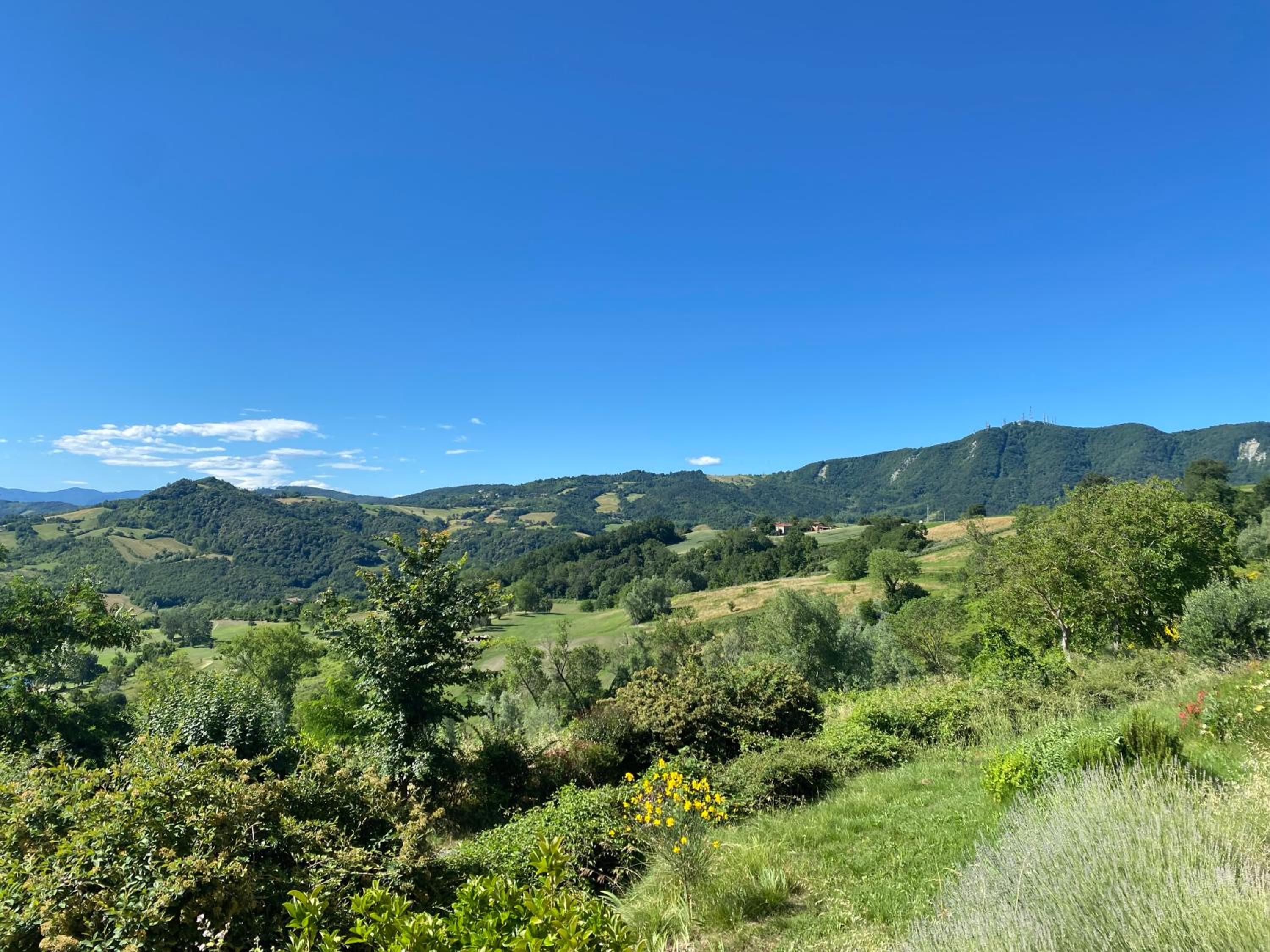 Case Crovina