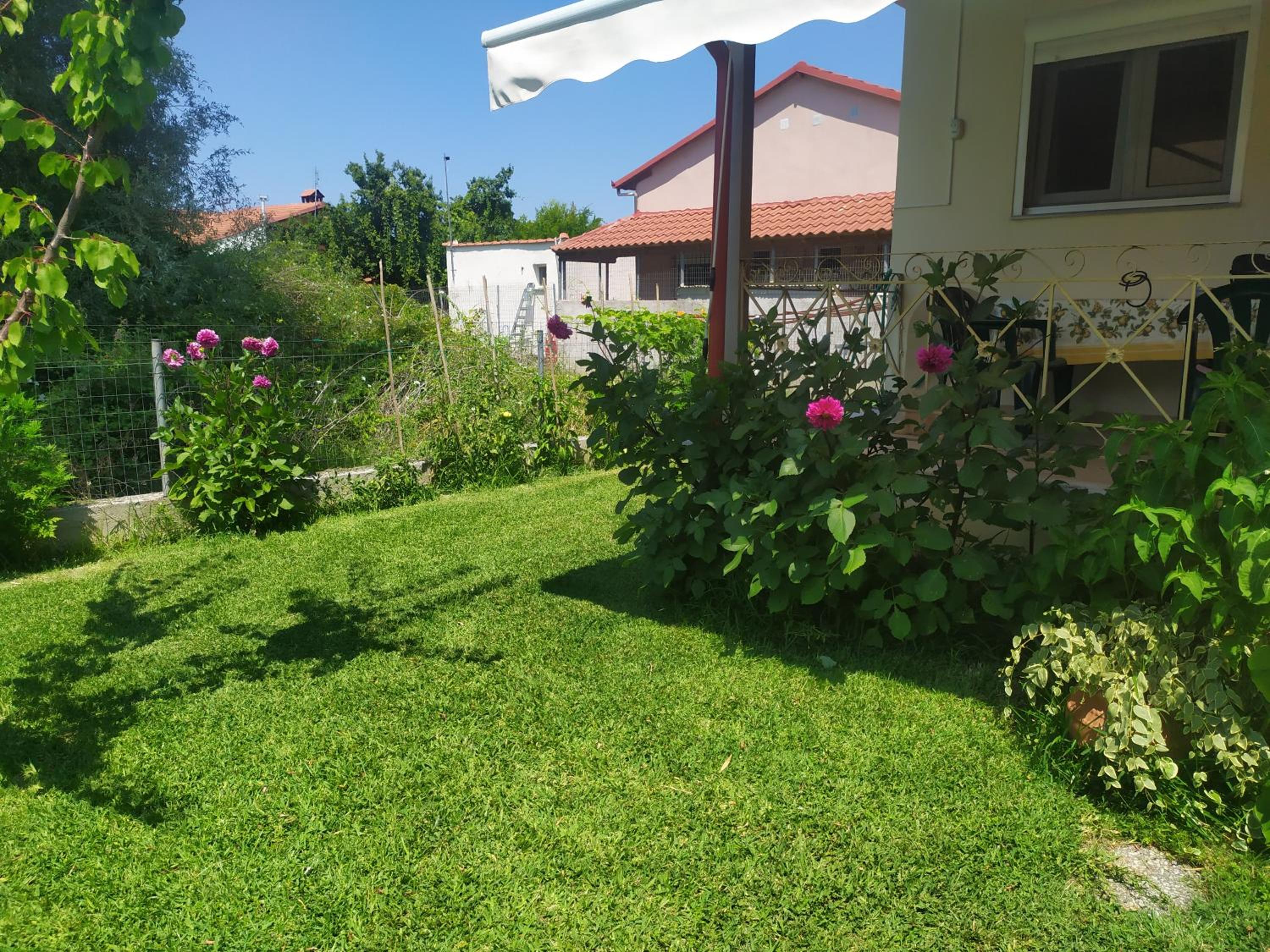 Photo 45