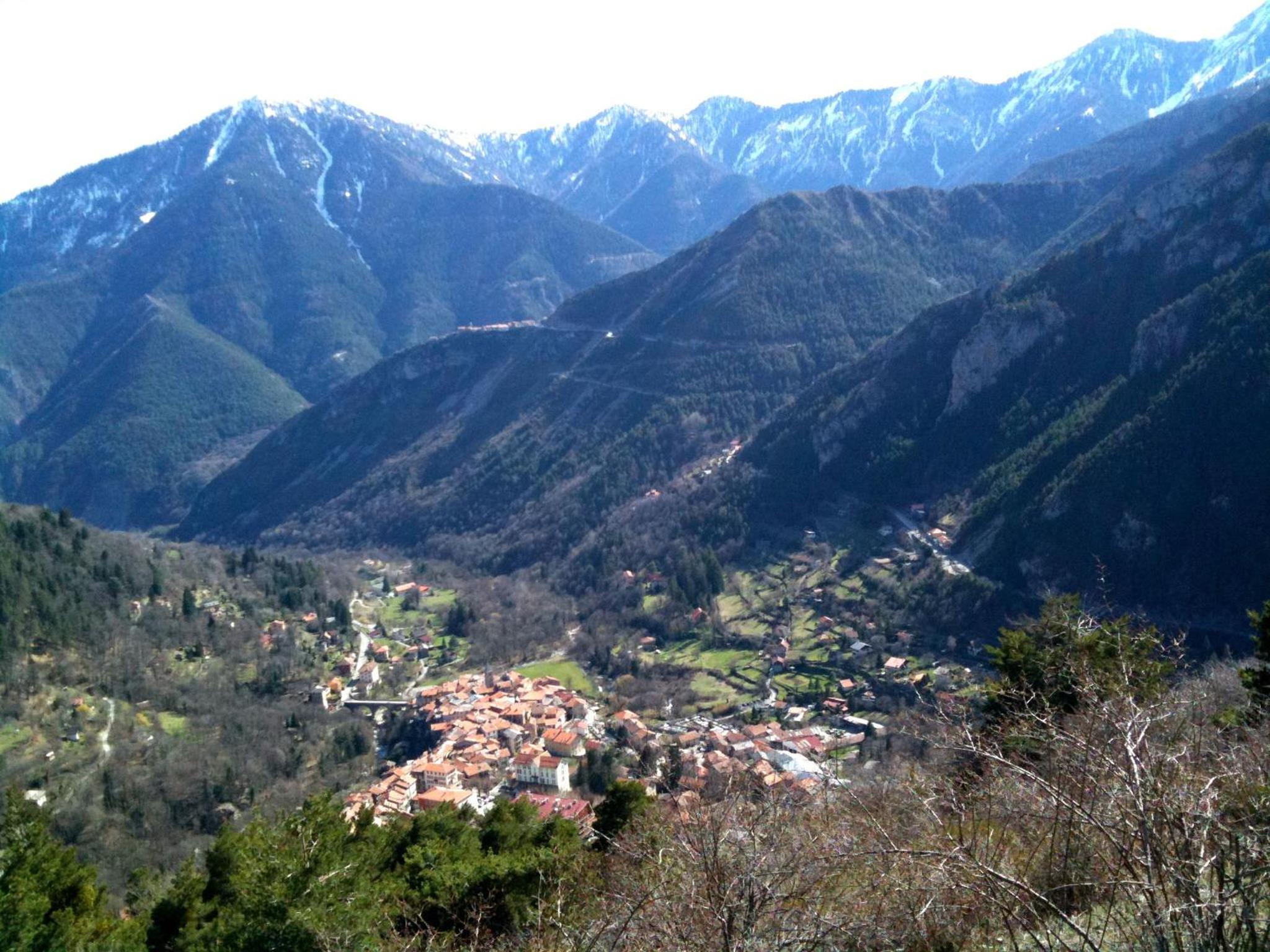 Photo 23