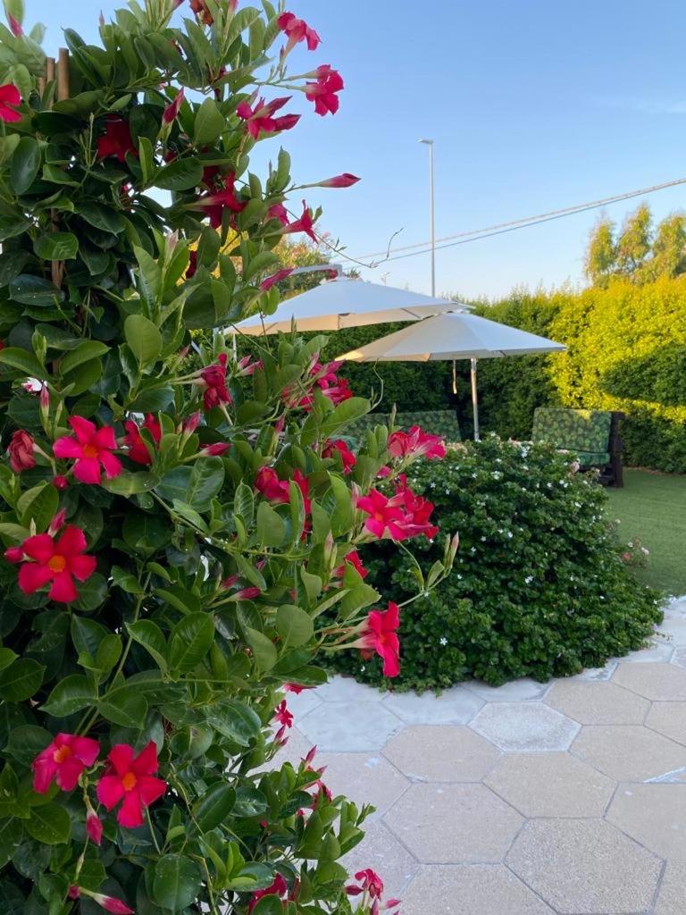 Villetta Martino Guest House view 5