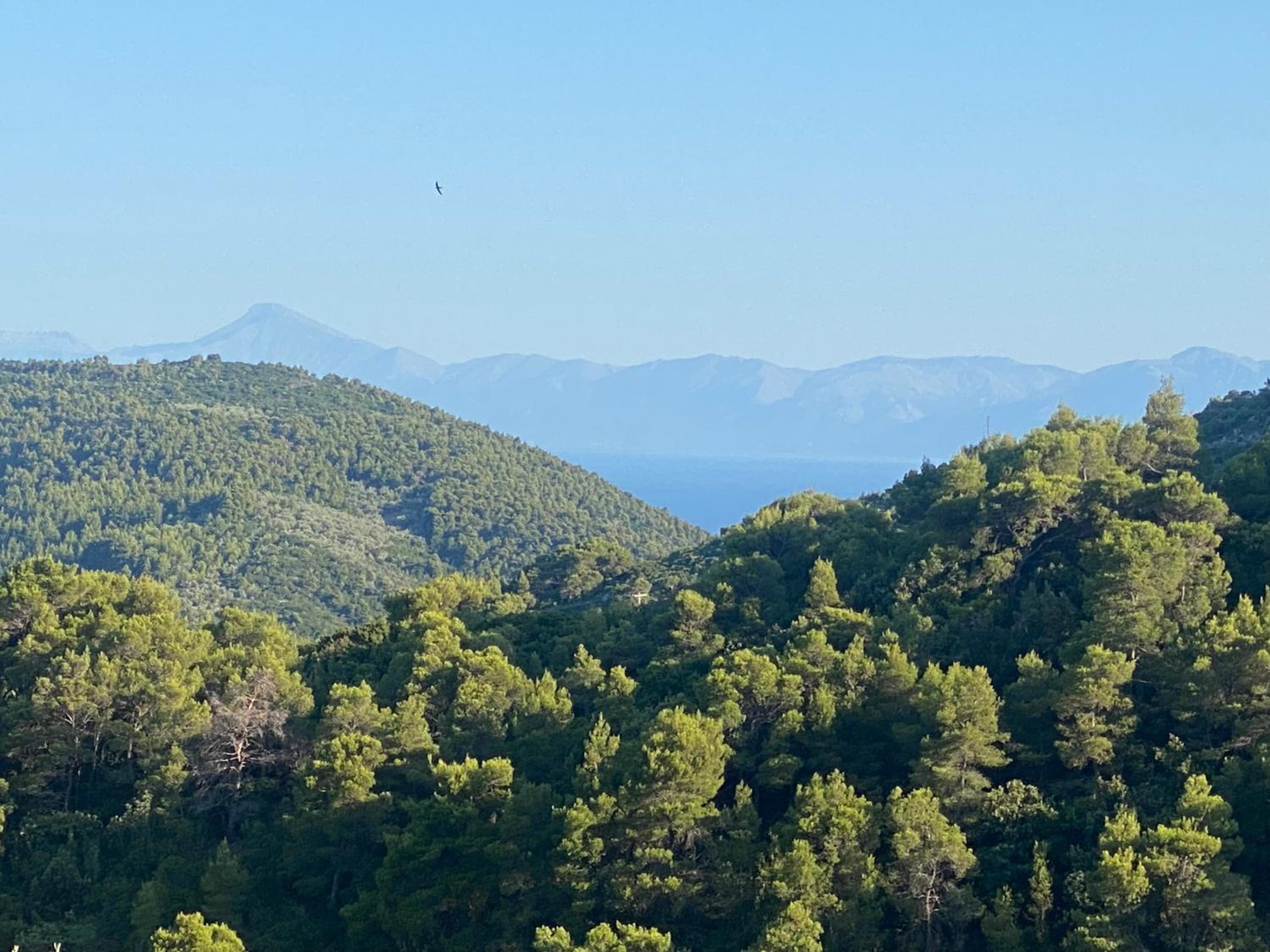 Laas Daskios, Stone Country House, Skopelos Anania