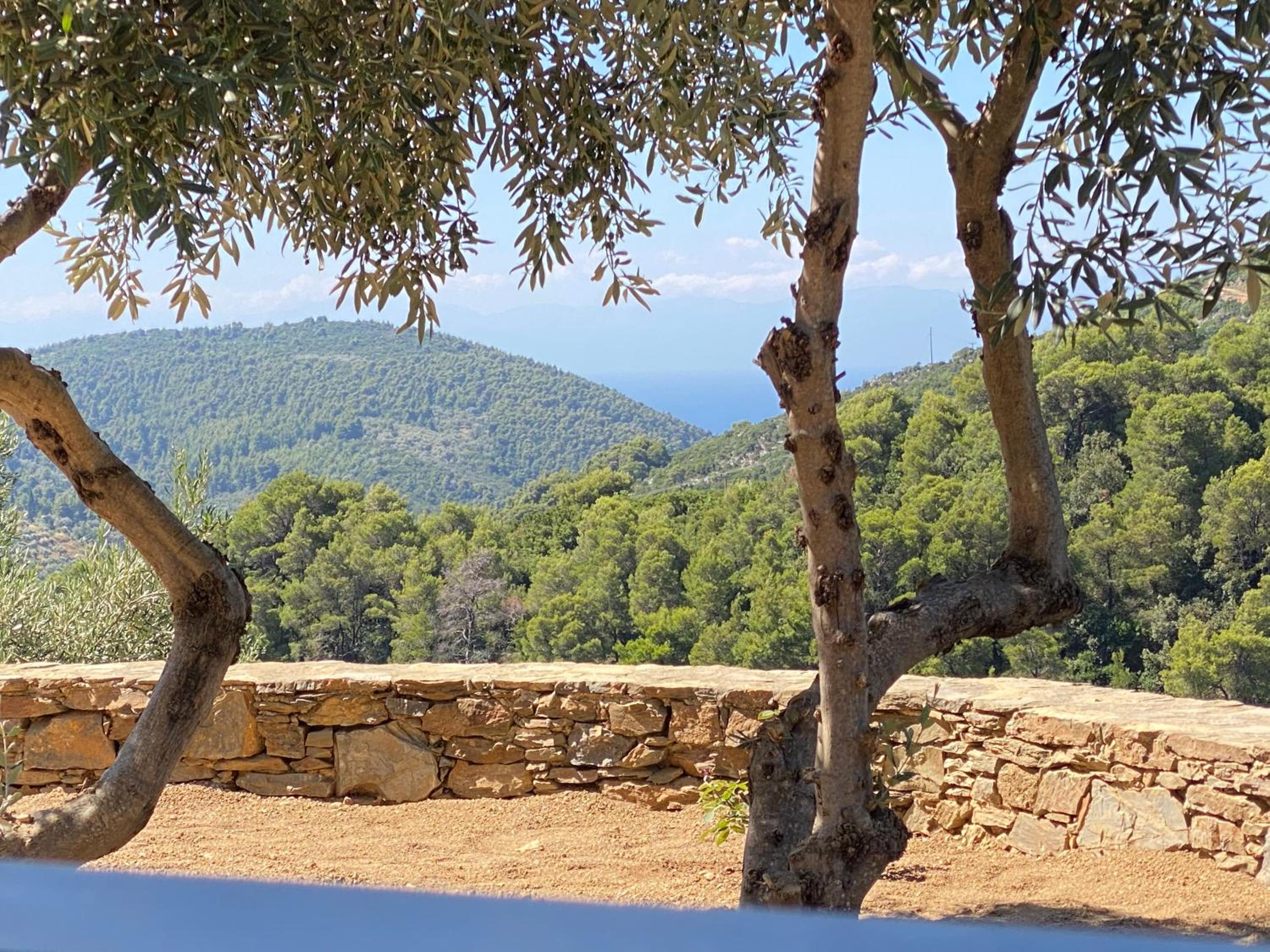Laas Daskios, Stone Country House, Skopelos Anania