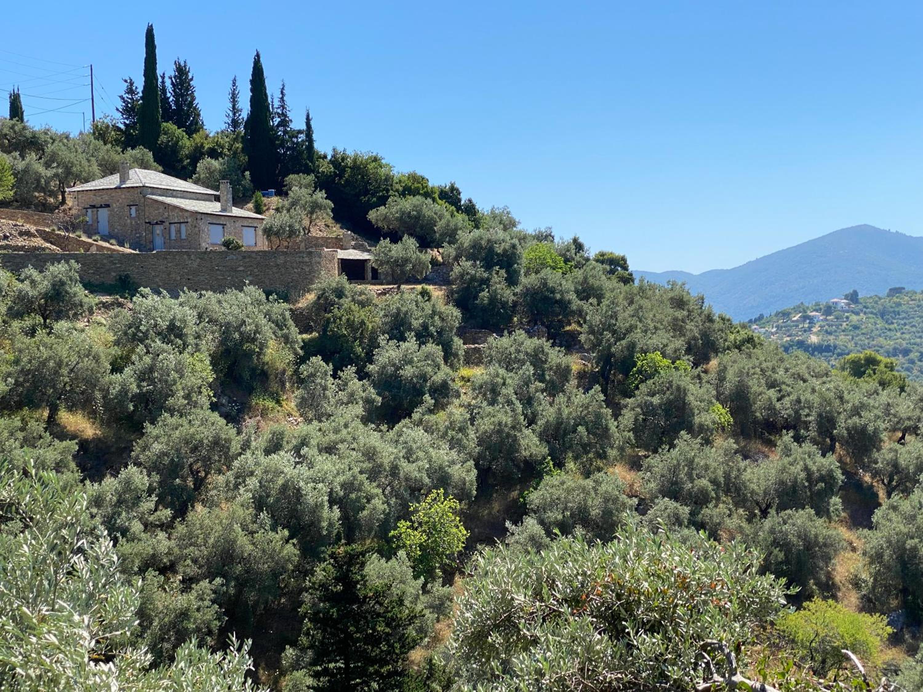 Laas Daskios, Stone Country House, Skopelos Anania