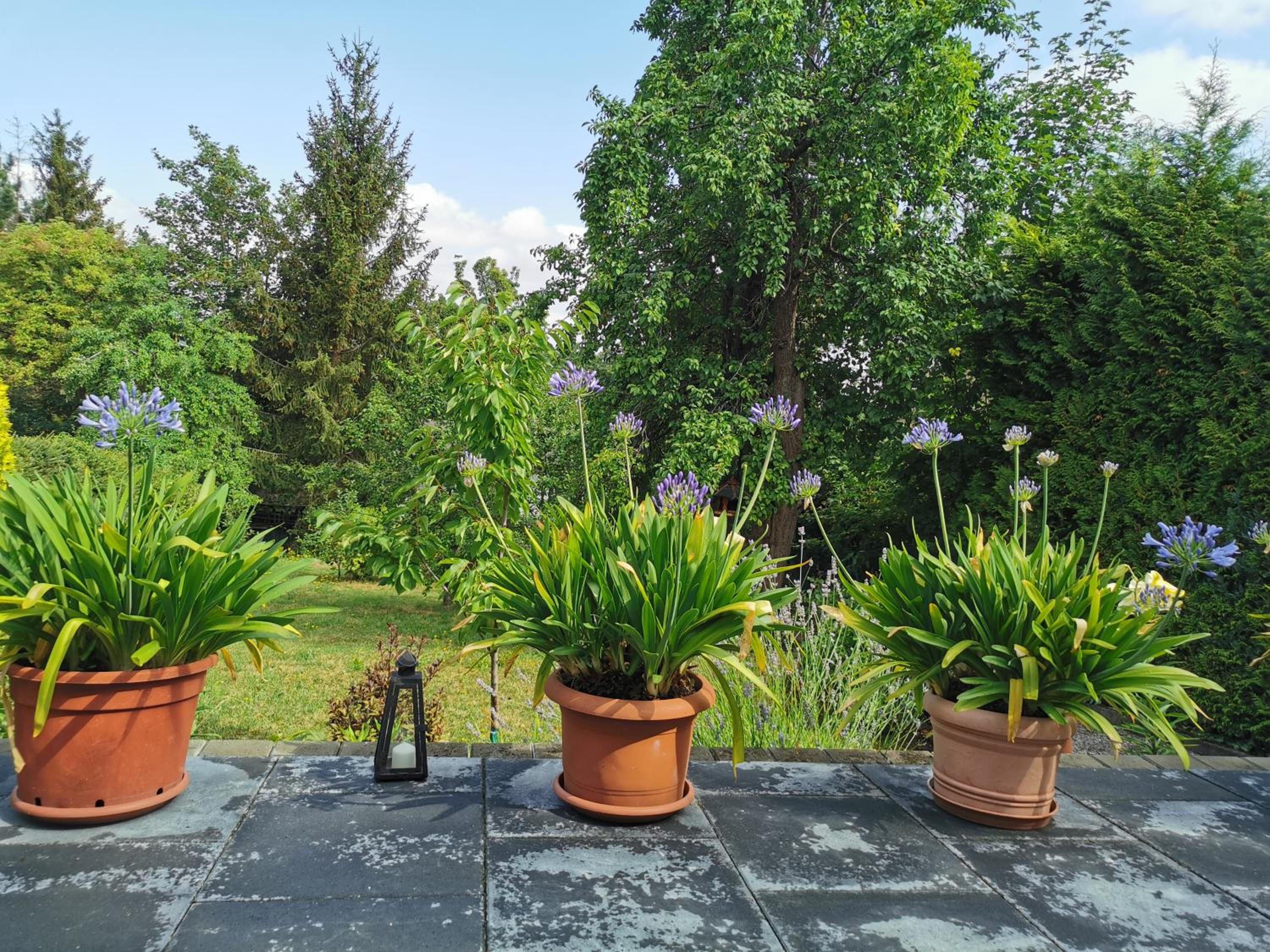 Ferienhaus Appold view 2