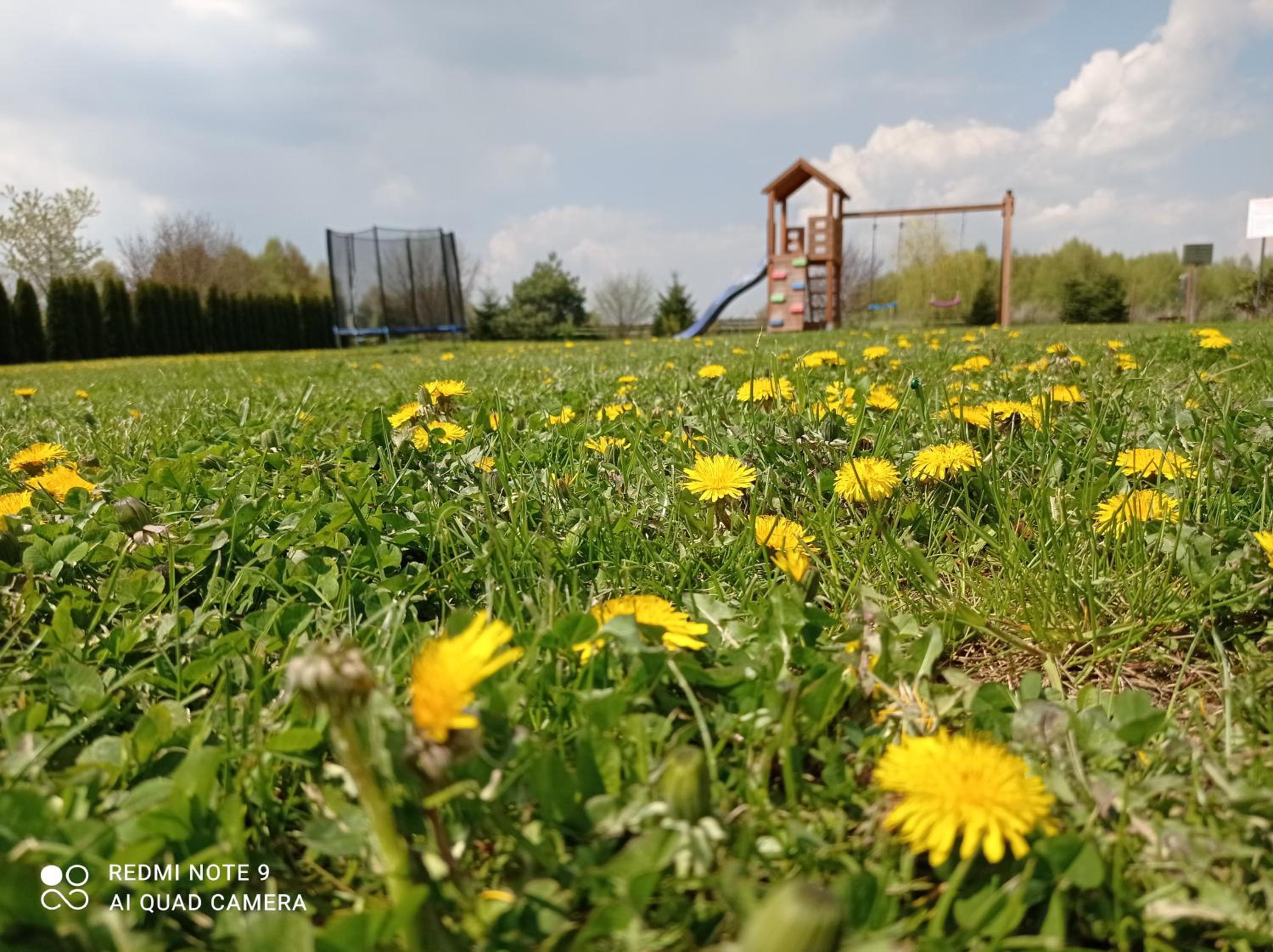 children's play area
