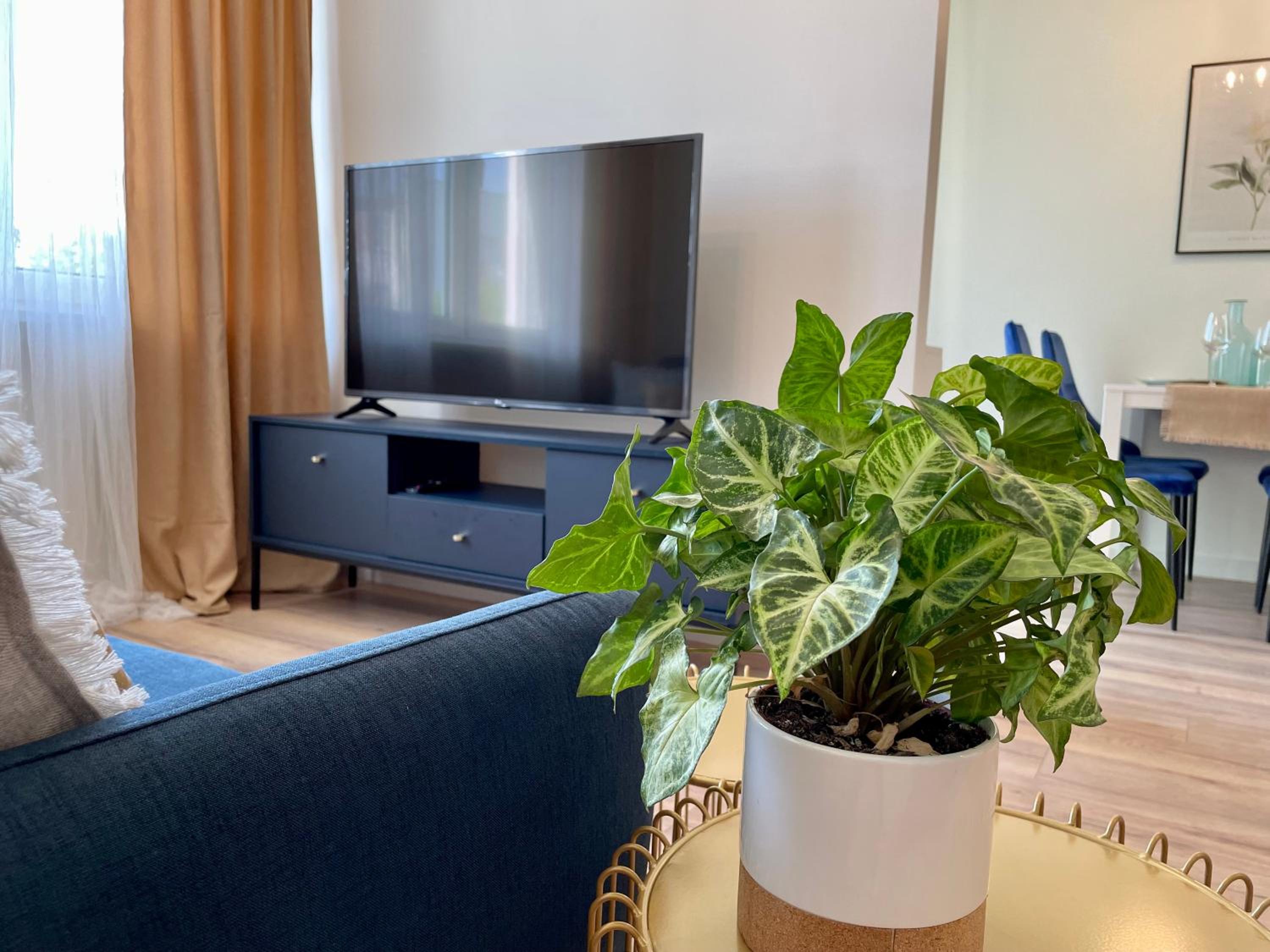 Apartament Rataja50
