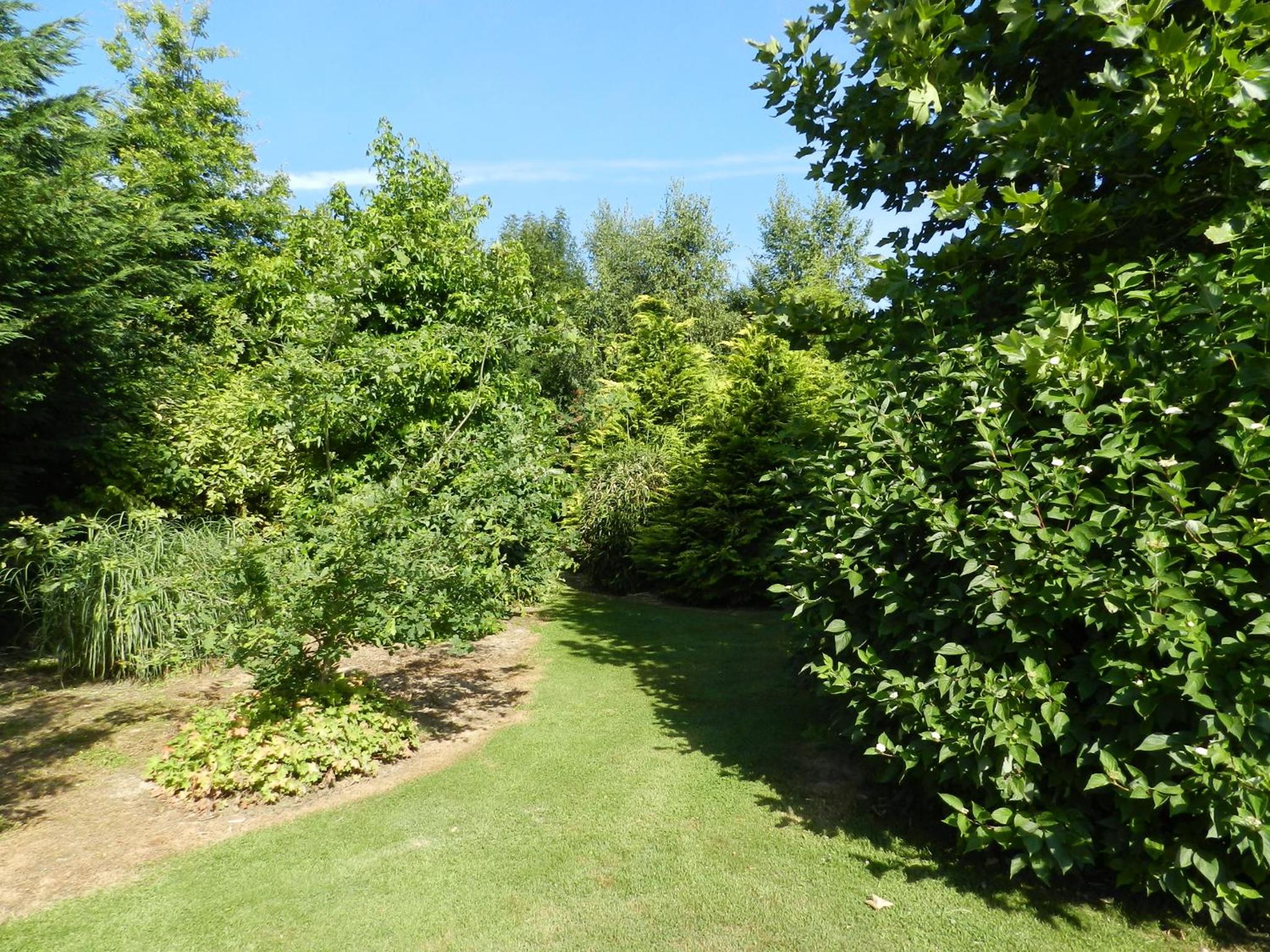 Photo 48
