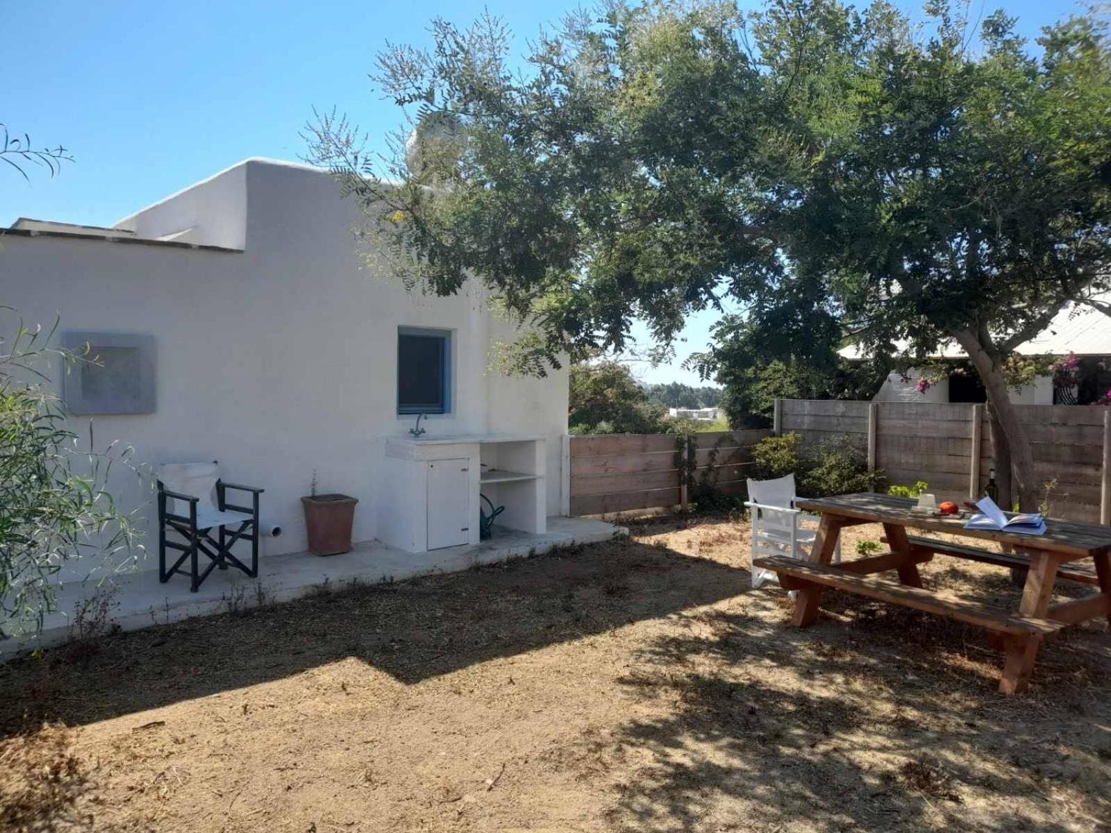 Casa Citrus photo 4