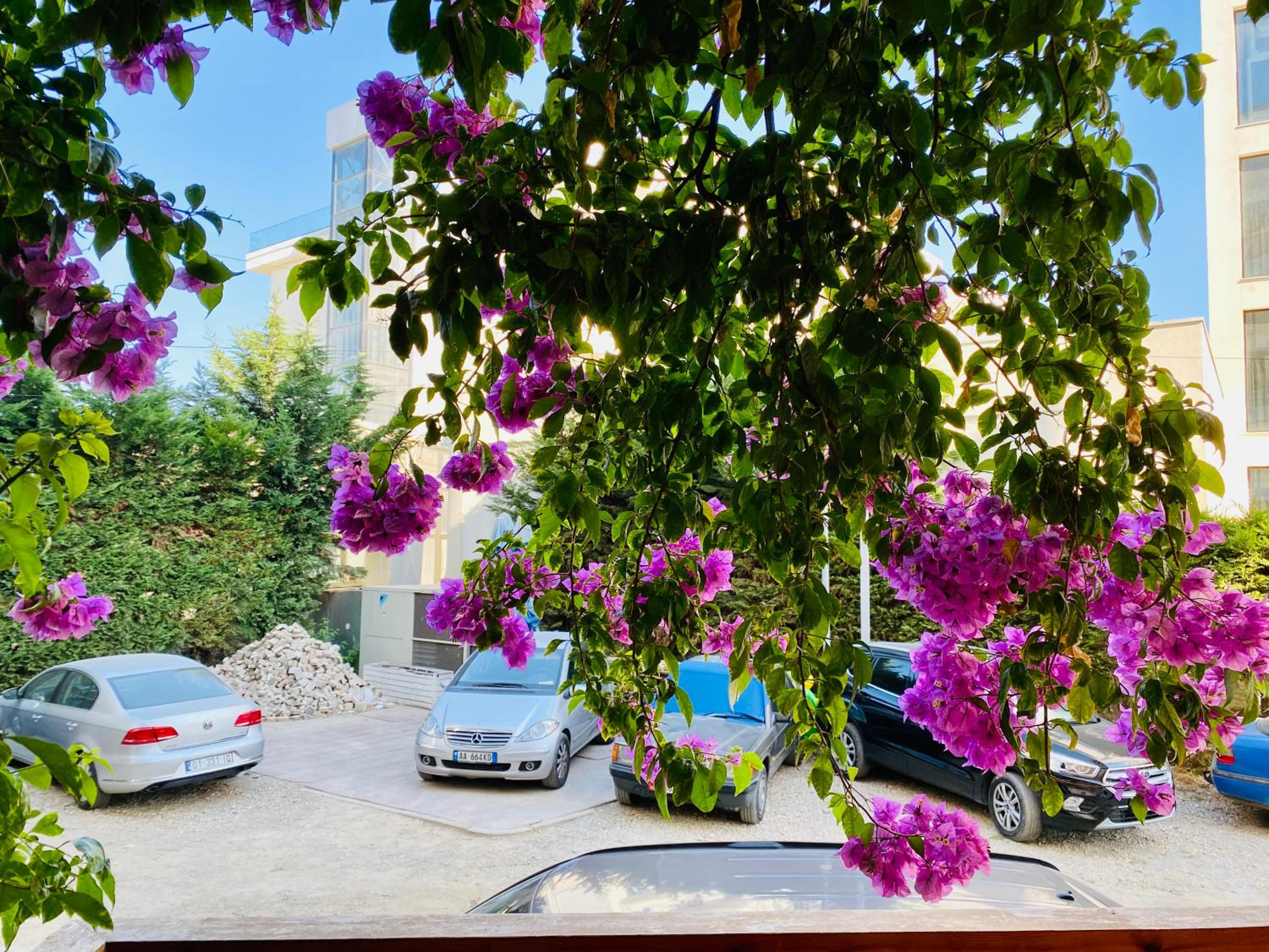 Lux apartment
