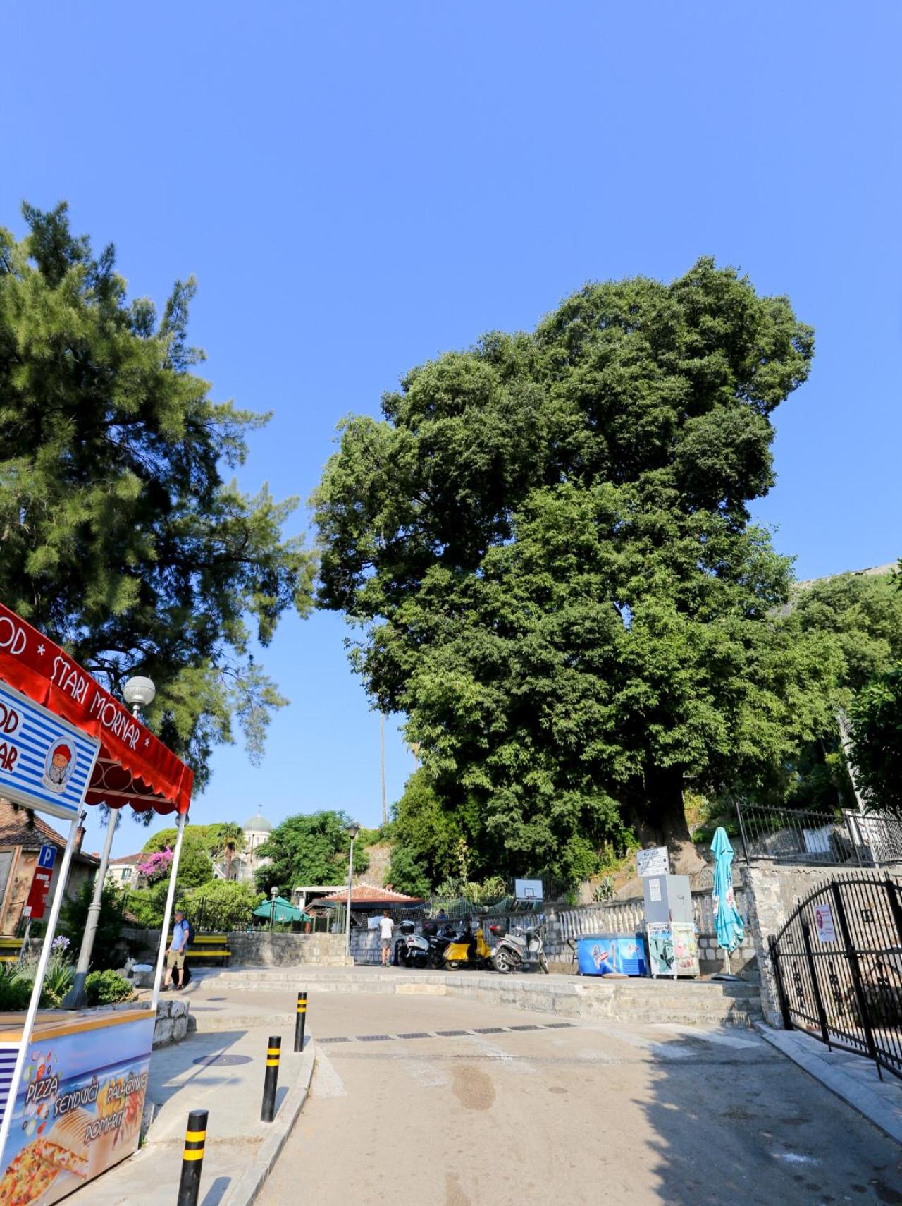 Smještaj Djurdjevic photo 3