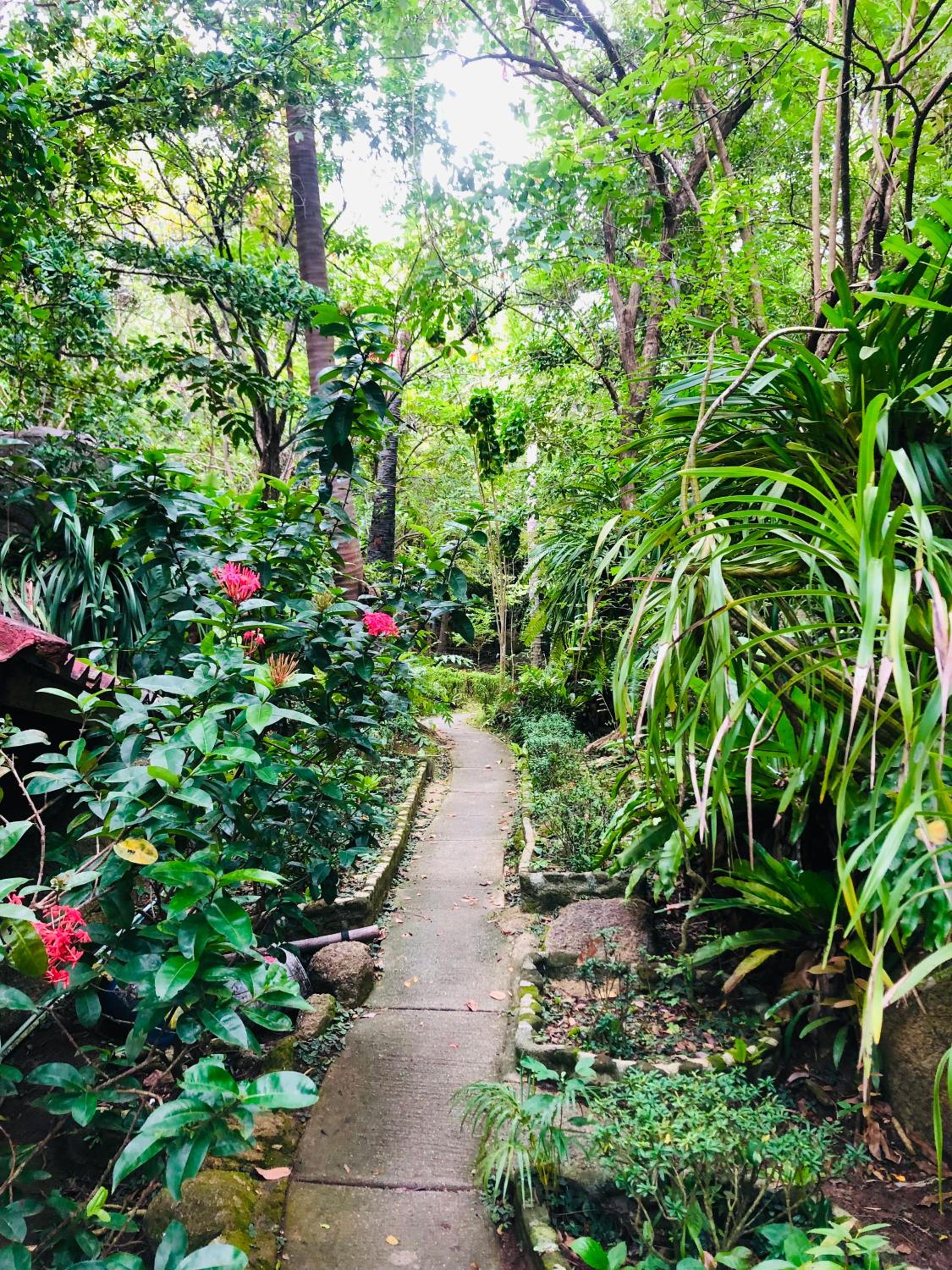 garden