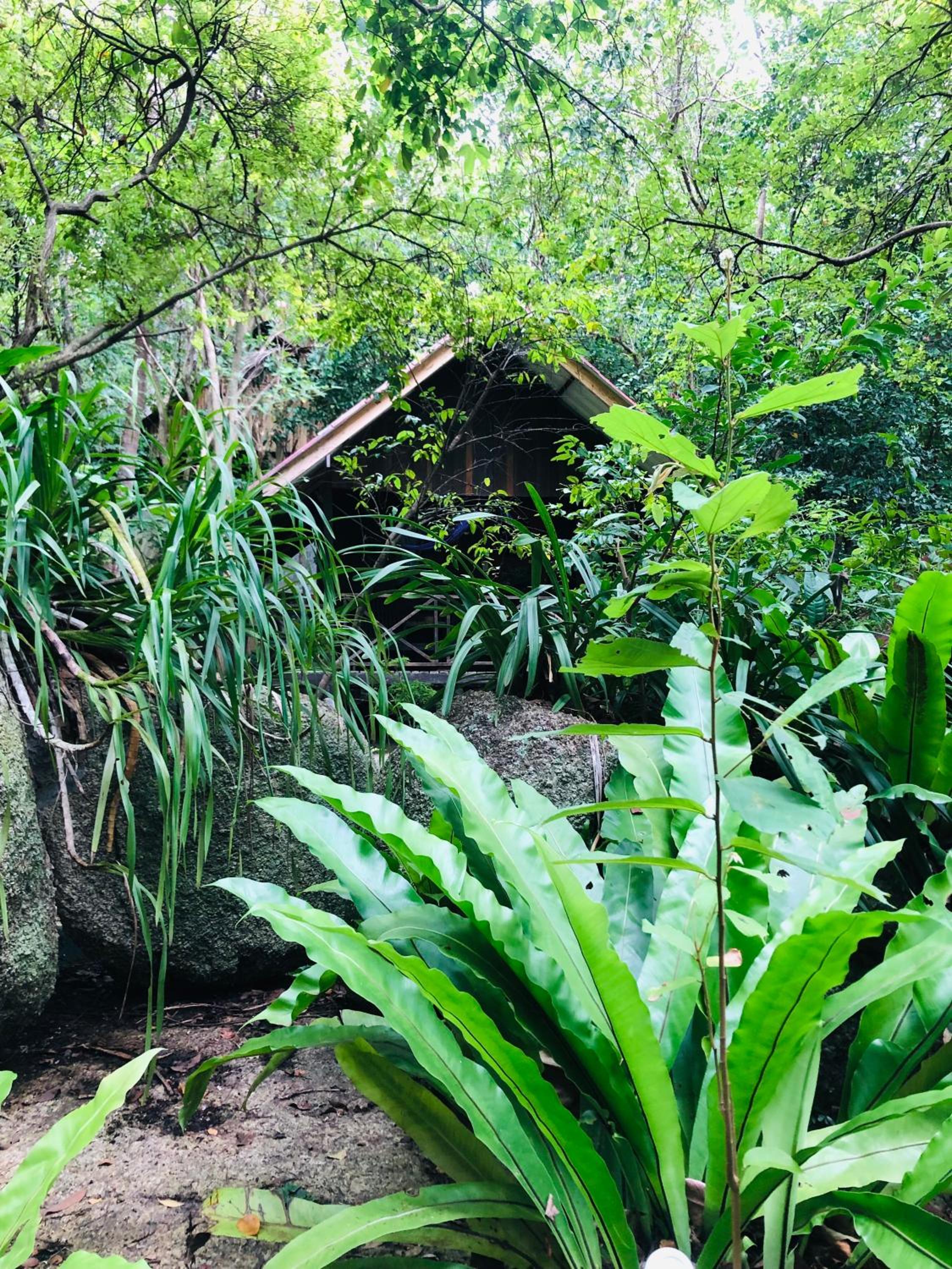 garden