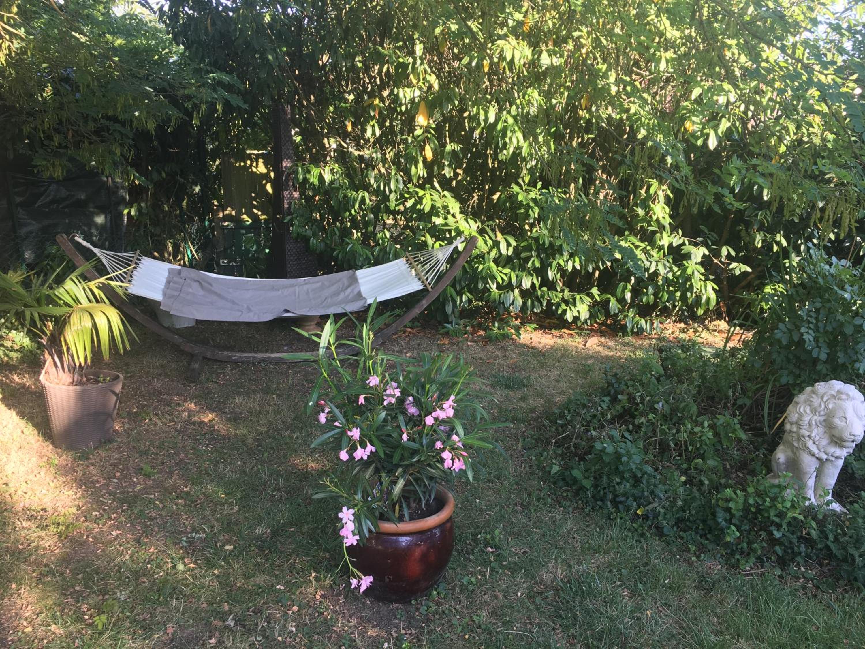 Photo 28