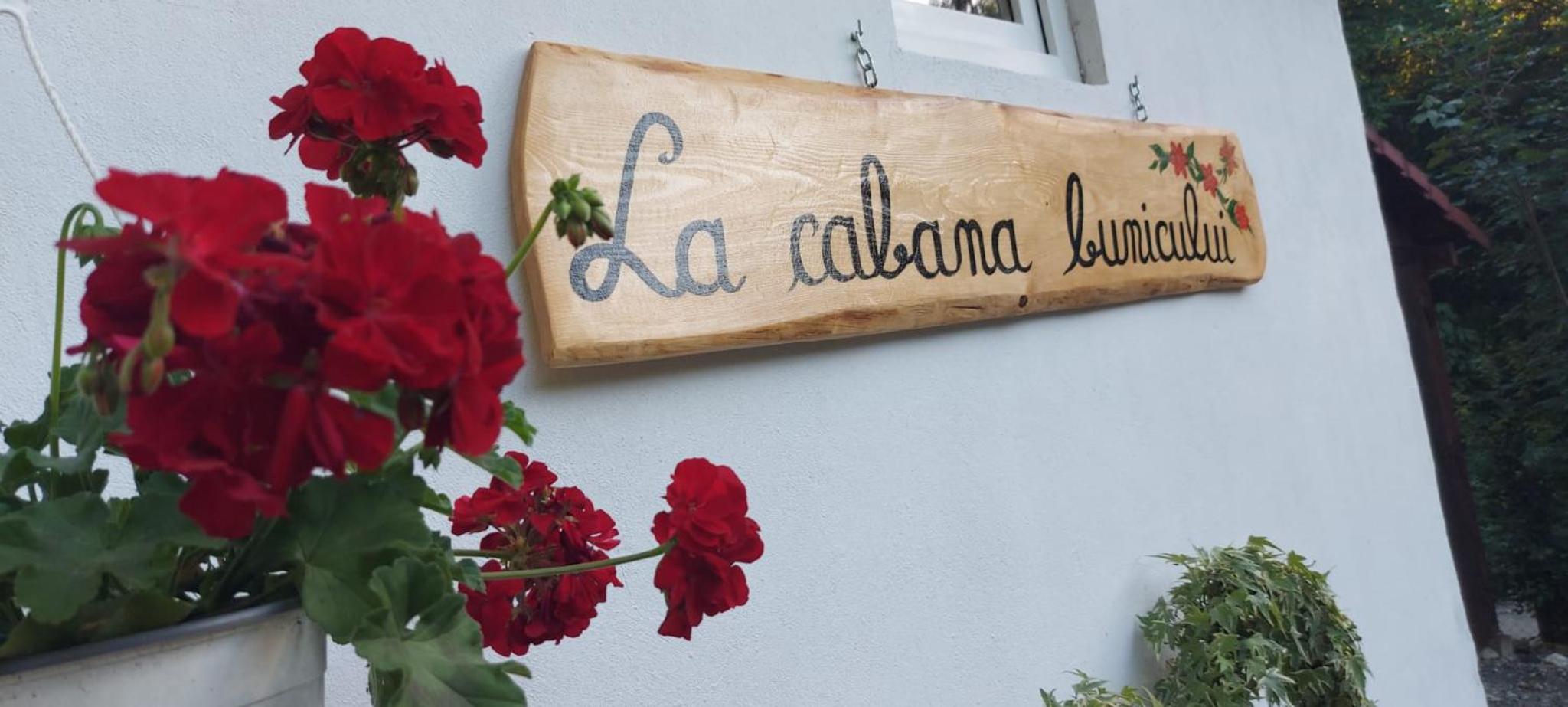 La cabana bunicului view 4